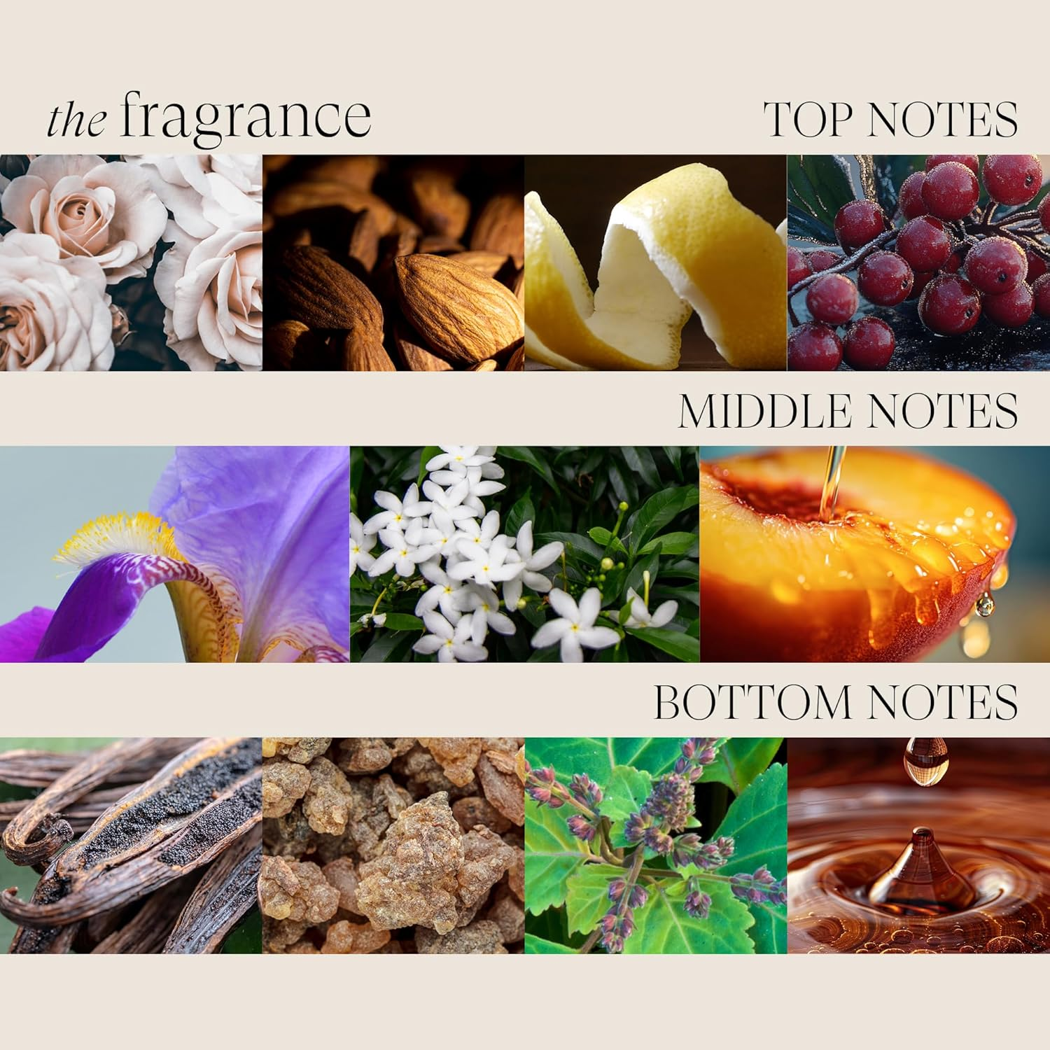 L'ANZA Keratin Healing Oil Shiny Conditioner for Damaged Hair (250 Ml), Nourishes, Repairs, Shine & Strength for a Silky Look, Sulphate Free, Paraben Free, Gluten Free, Hair Conditioner image number 3