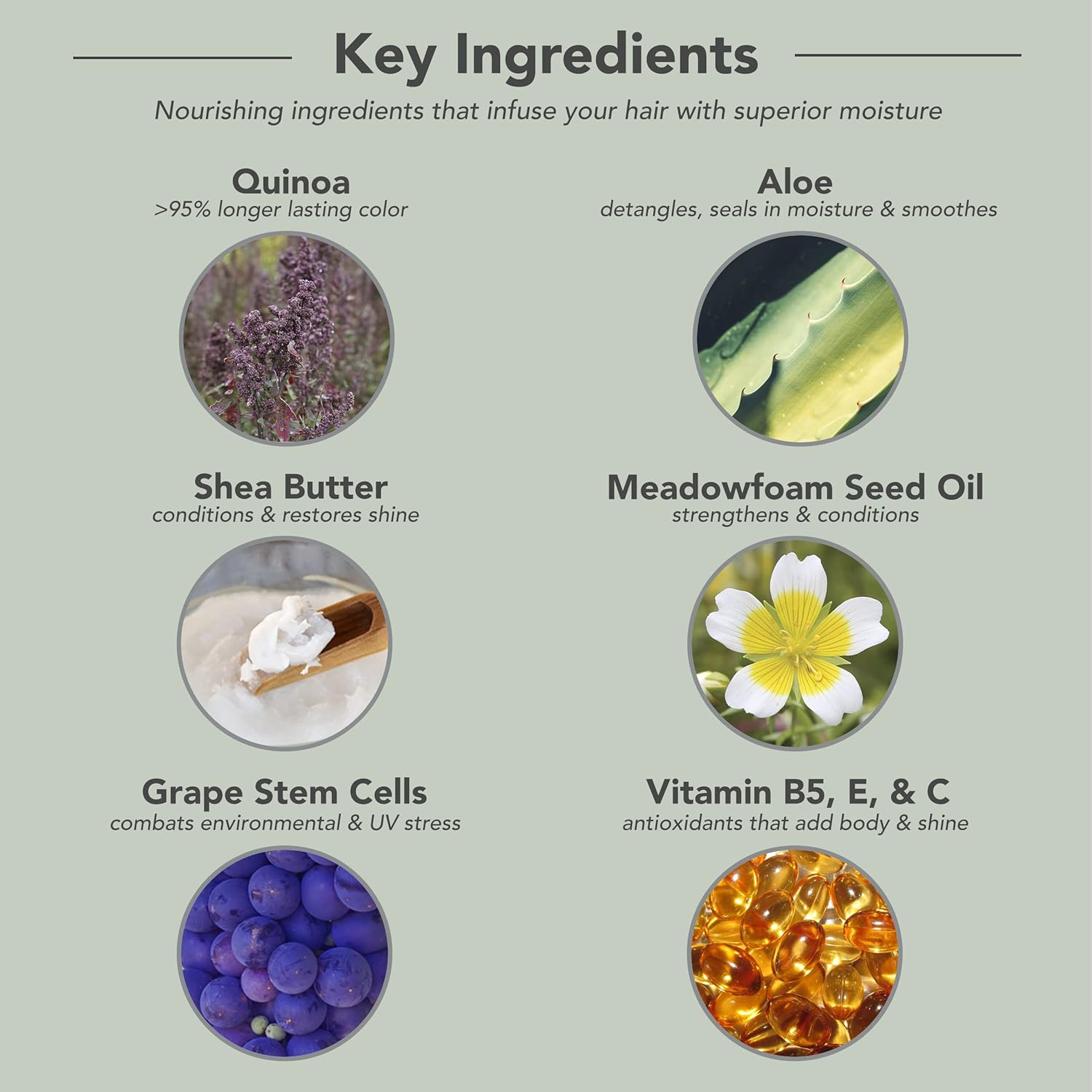 Framesi Color Lover Moisture Rich Shampoo, 999.58 Ml image number 2