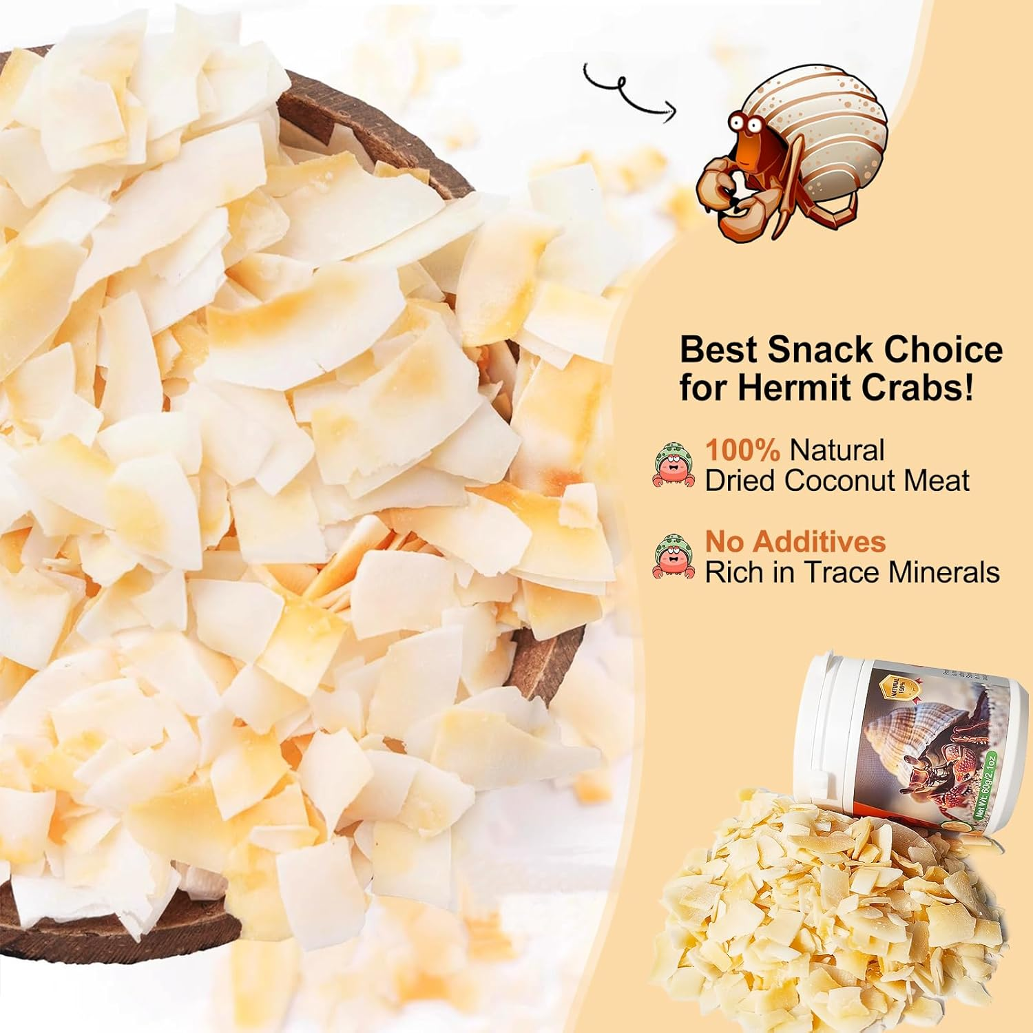 Hermit Crab Food - Baked Coconut Treat, Natural Dried Coconut for Crab Healthy & Additive Free, Easily Digestible Hermit Food Hermit - Ideal Crab Pet Snacks, Crispy & Delicious | 60G (Large) image number 2