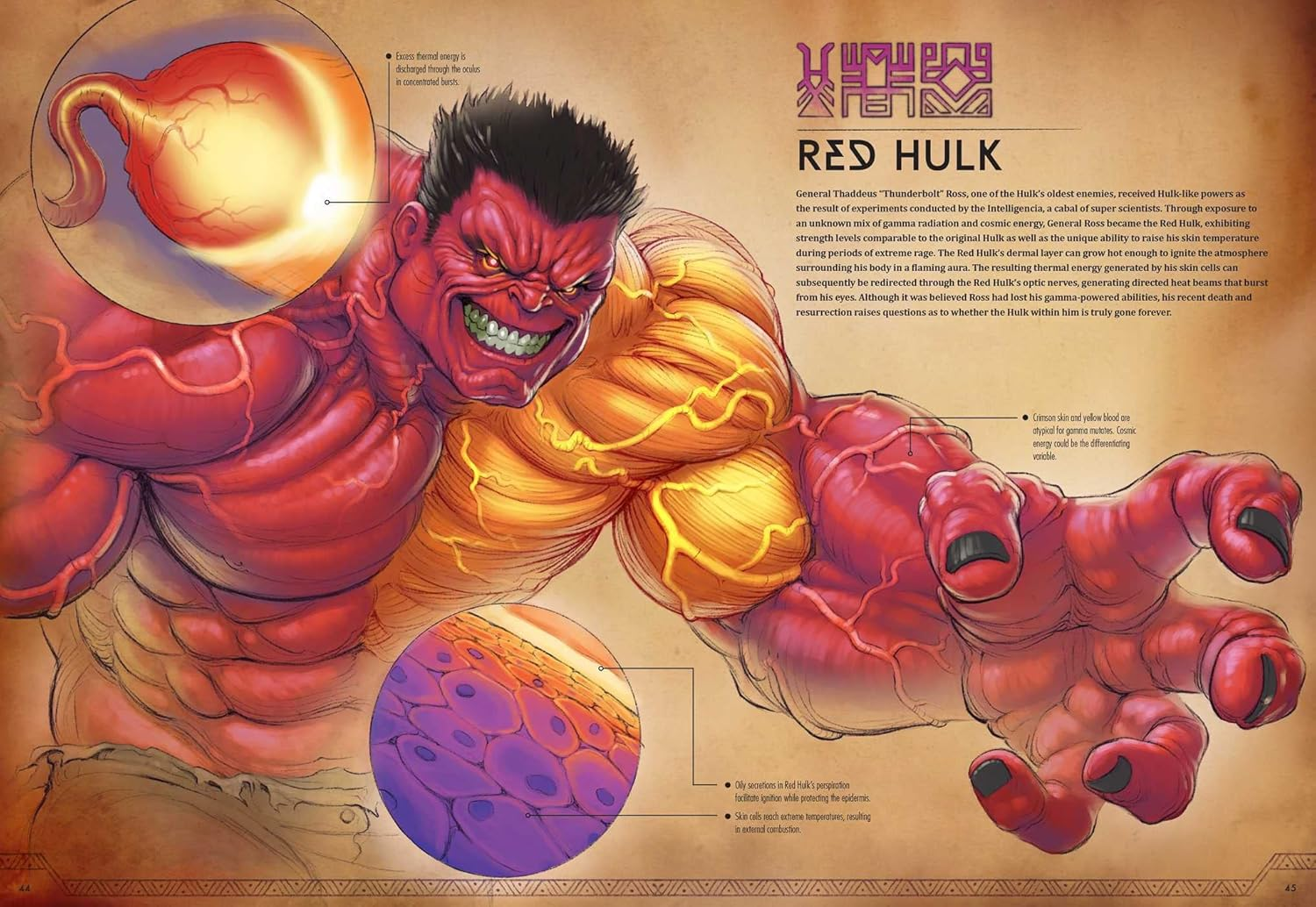 Marvel Anatomy: a Scientific Study of the Superhuman image number 4