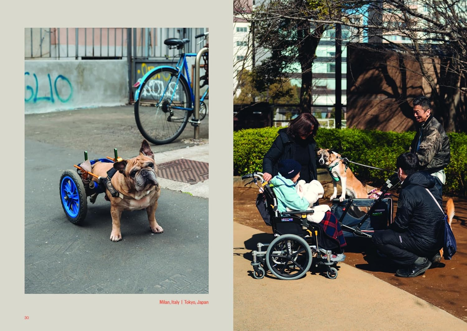 Dog&rsquo;S Best Friend: a Portrait of an Unbreakable Bond image number 6