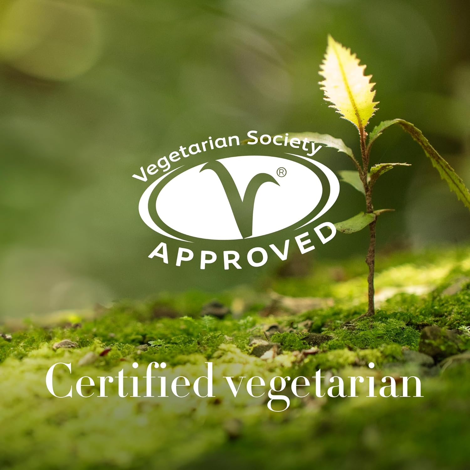 Antipodes Baptise H2O Ultra-Hydrating Water Gel Moisturiser &ndash; Plant-Based Hyaluronic Acid & Manuka Honey &ndash; Hydrating Moisturiser &ndash; Dry Skin, Dehydrated Skin & Most Skin Types &ndash; 60Ml image number 5