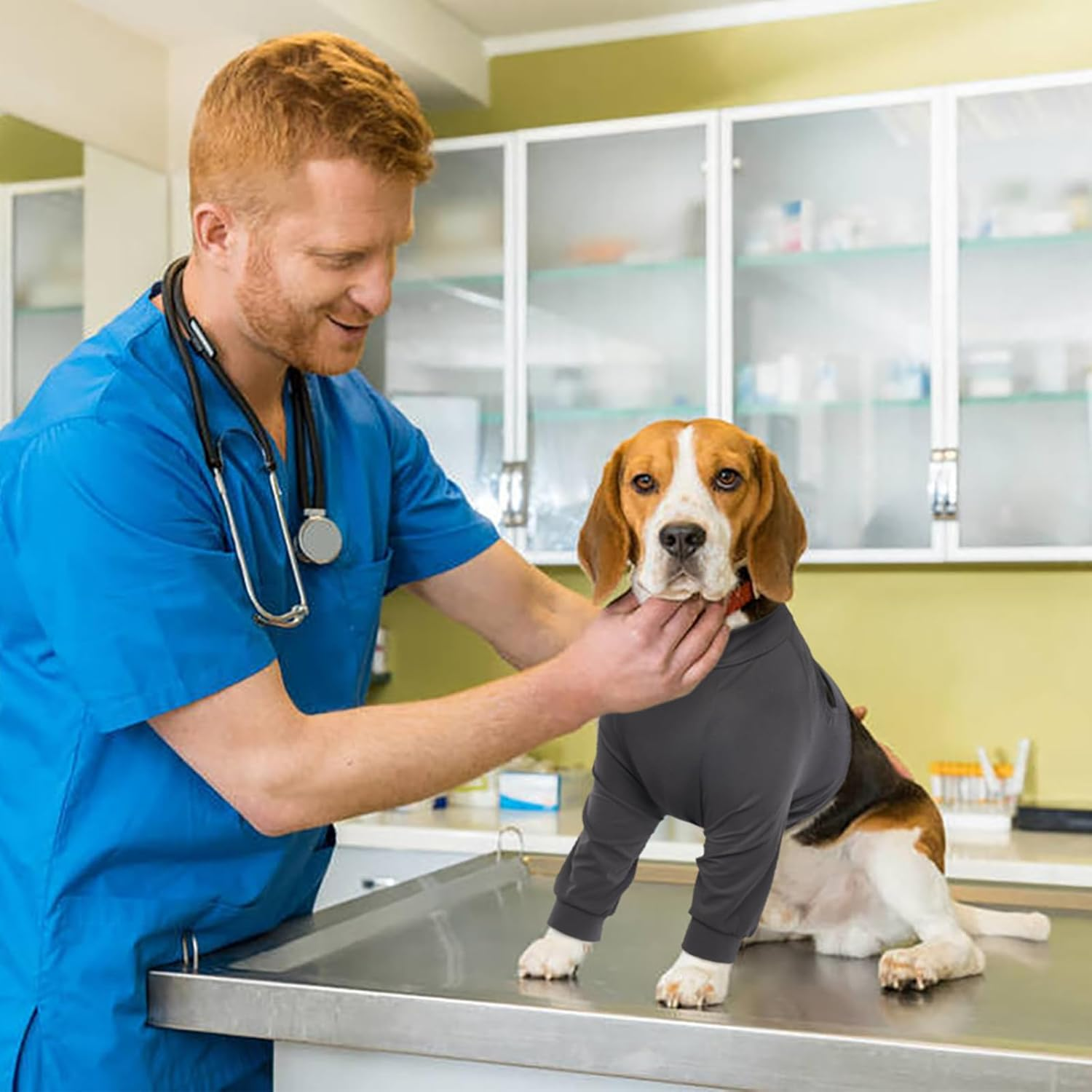 Kuoser Dog Bodysuit after Surgery