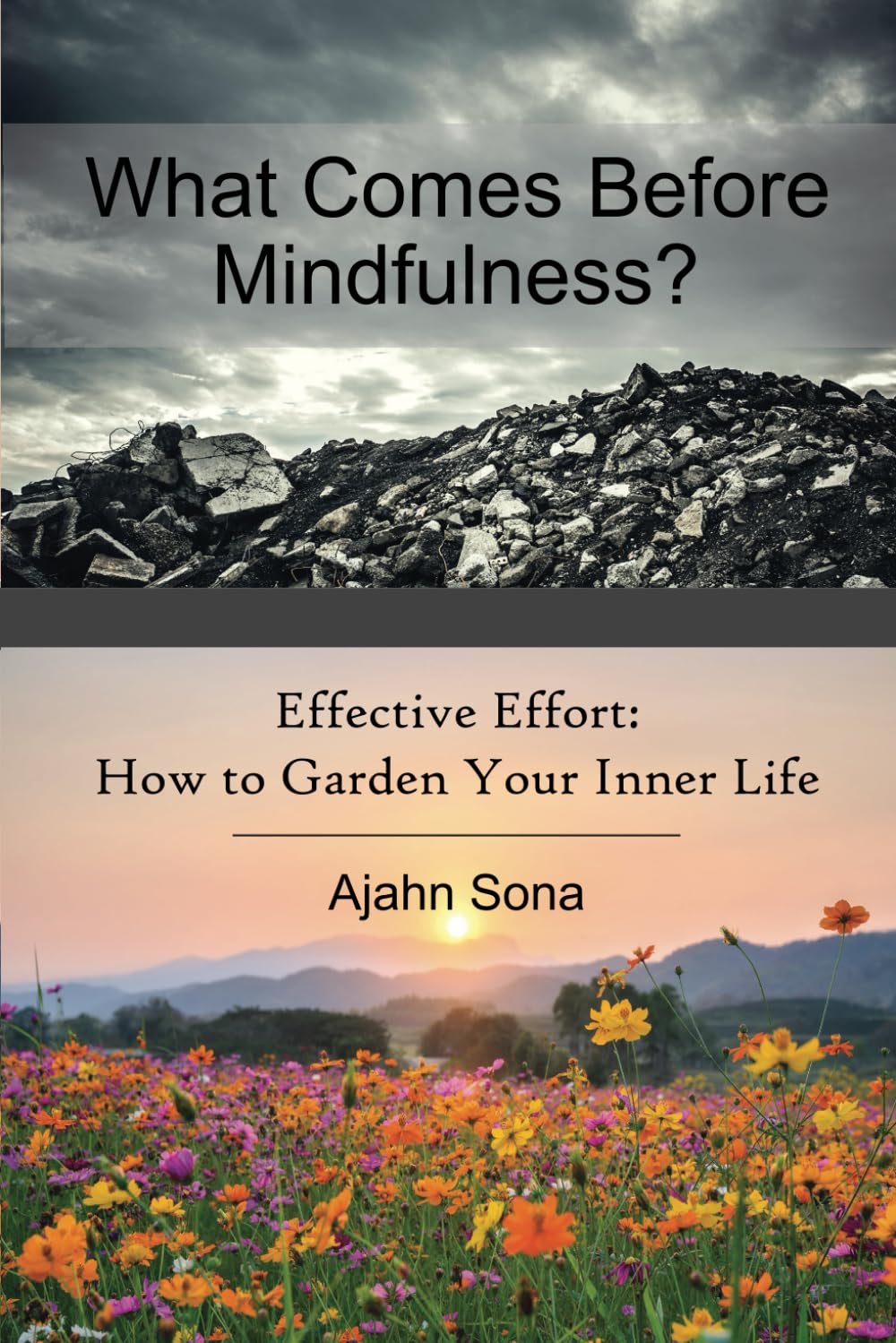 What Comes before Mindfulness?: Right Effort and the Buddhist Path to Enlightenment image number 1