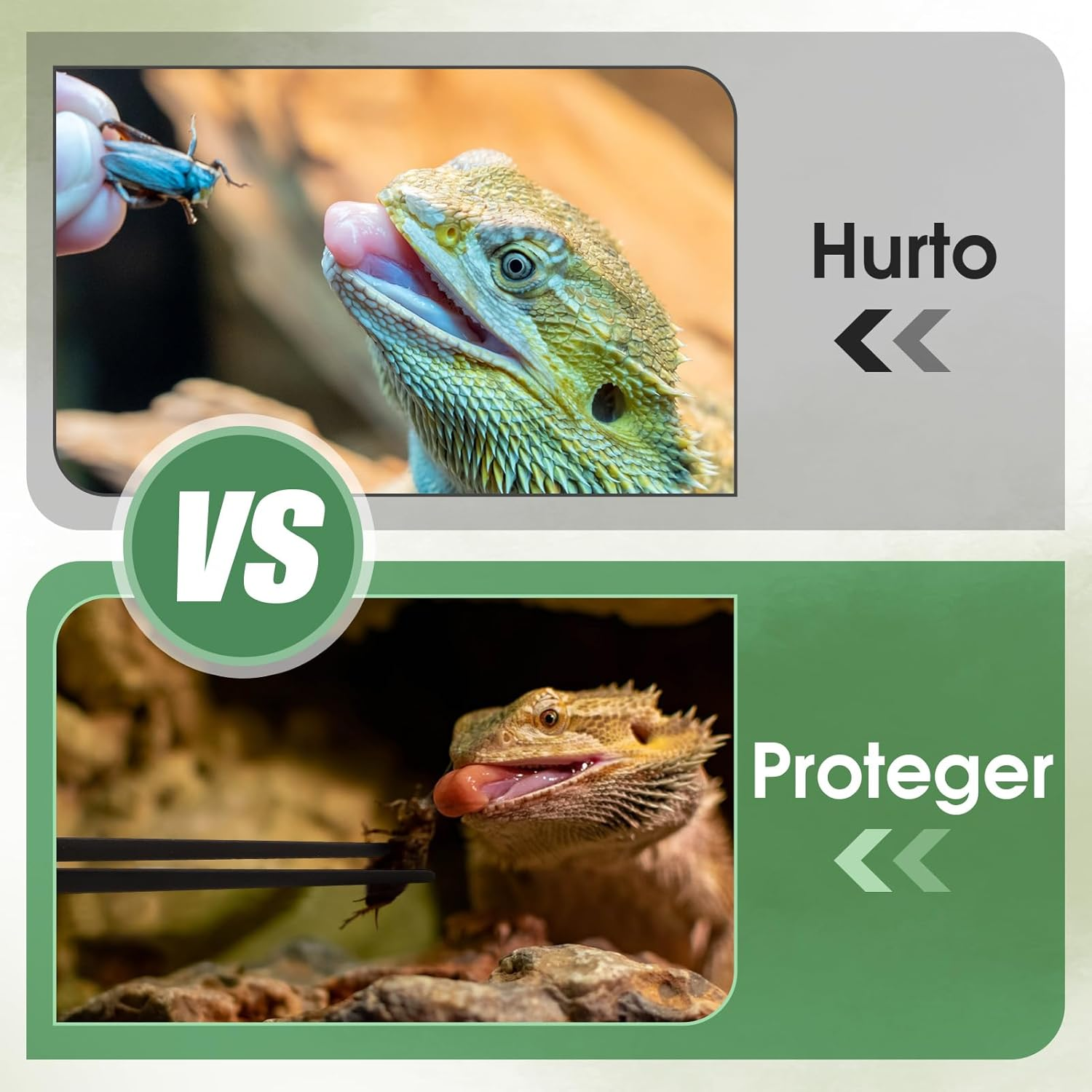 38Cm Extra-Long Aquarium Tweezers, Set of Straight and Curved Stainless Steel Tweezers, Extra-Long Aquarium Tweezers, Aquascaping and Fish Tank Feeding Tools image number 1