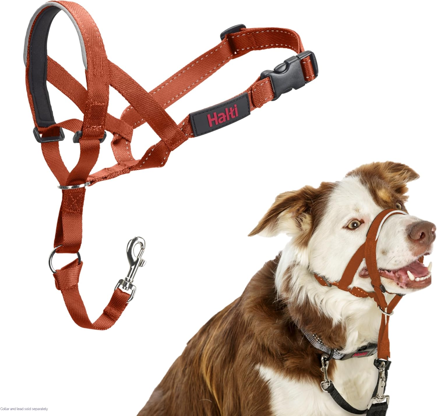 Halti Dog Training Headcollar, Red