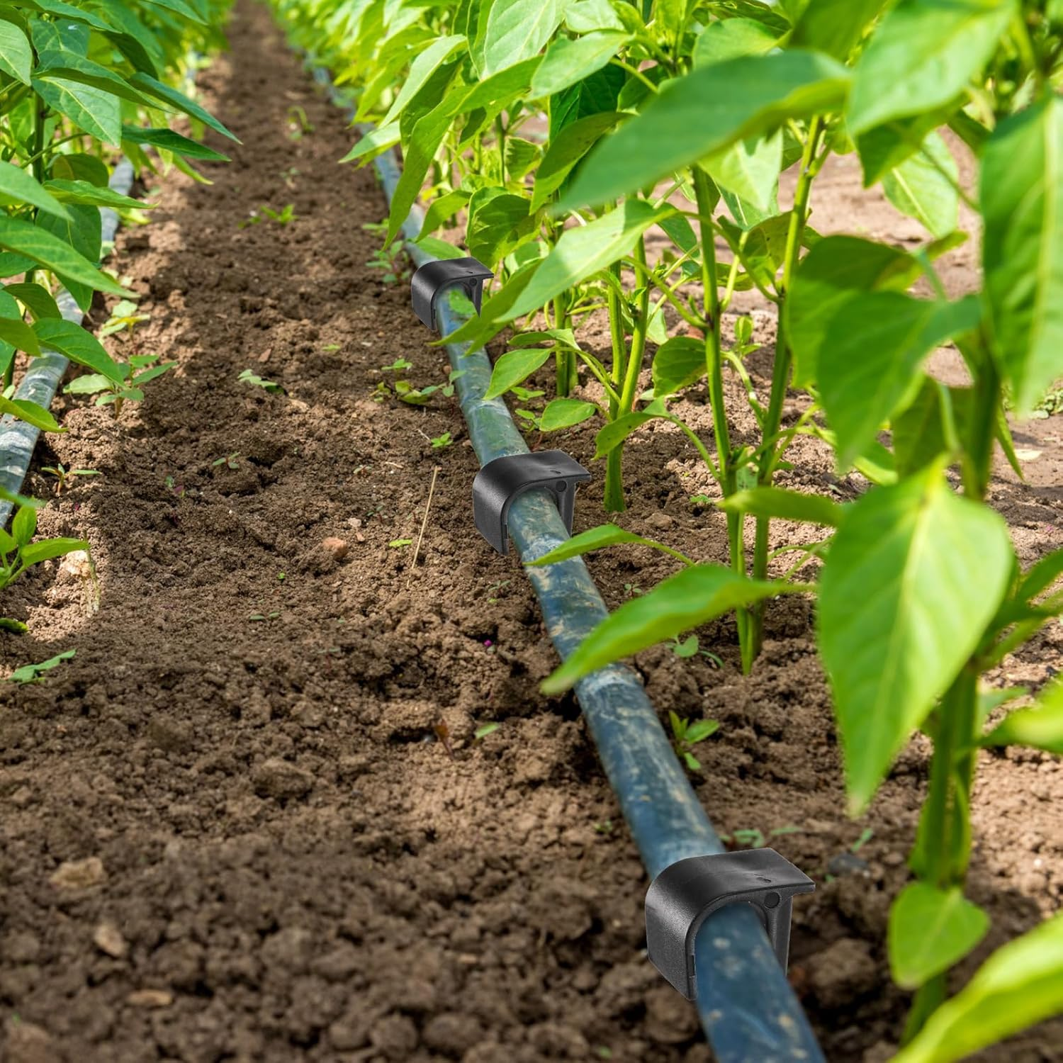 Pangda 100 Pack 1/2 Inch Irrigation Tubing Hold down Anchor Stakes, 3/4 X 4.33 Inch Drip Tubing, Anchor for Sprinkler Garden Landscaping