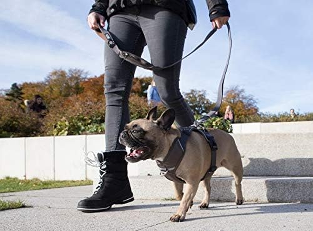 DOG Copenhagen Urban Trail Lead, Brown, Large image number 7