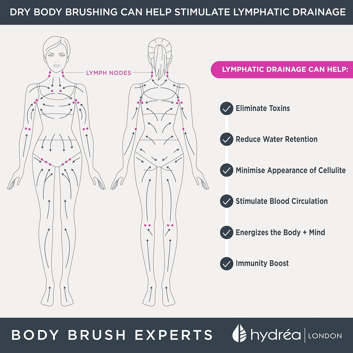 Hydrea London Dry Body Brush &ndash; Premium Exfoliating Dry Skin Brush Cactus Bristle, Vegan Dry Brush Cellulite Remover, Exfoliating Body Scrubber for Lymphatic Drainage, FSC&reg; Certified Beechwood - Brown image number 3