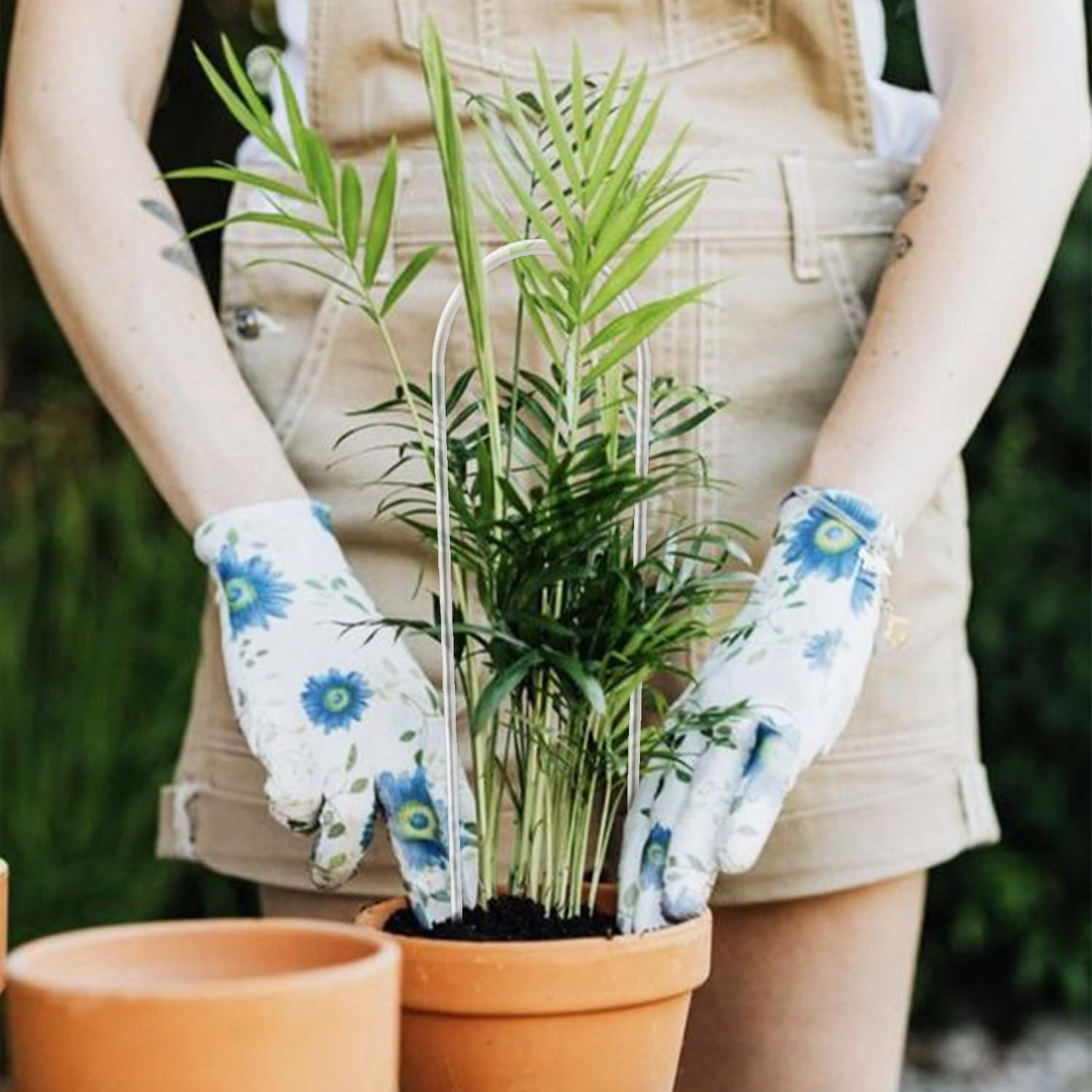 2 Pack U-Shaped Clear Acrylic Trellis for Indoor Plants, Small Plant Support for Potted Climbing Vines, Hoya, Ivy - Indoor Outdoor Use image number 6