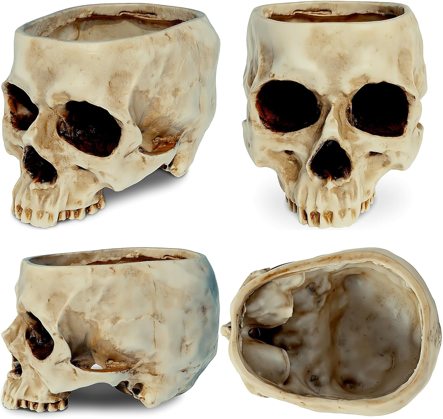 READAEER Skull Bowl Resin Skull Shaped Planter Flower Pot Candy Bowl for Home Office Indoor Desk Decorations - White