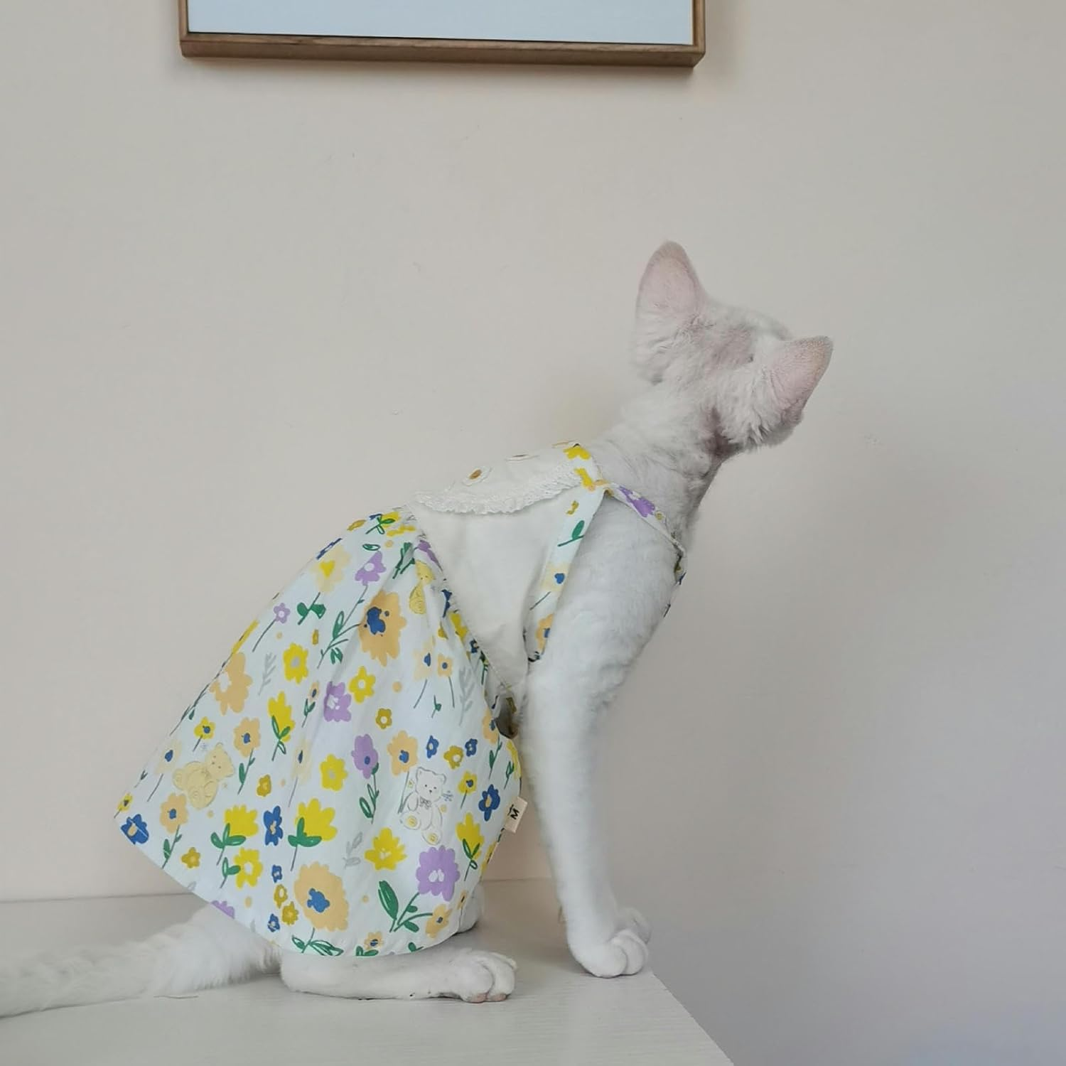 IUOUTG Cute Hairless Sphynx Cat Clothes Soft Hairless Cat Princess Dress Thin Pet Pullover Vest Breathable Kitten Pajamas Cat Apparel Cat Skirt for Cornish Rex, Devon Rex image number 1