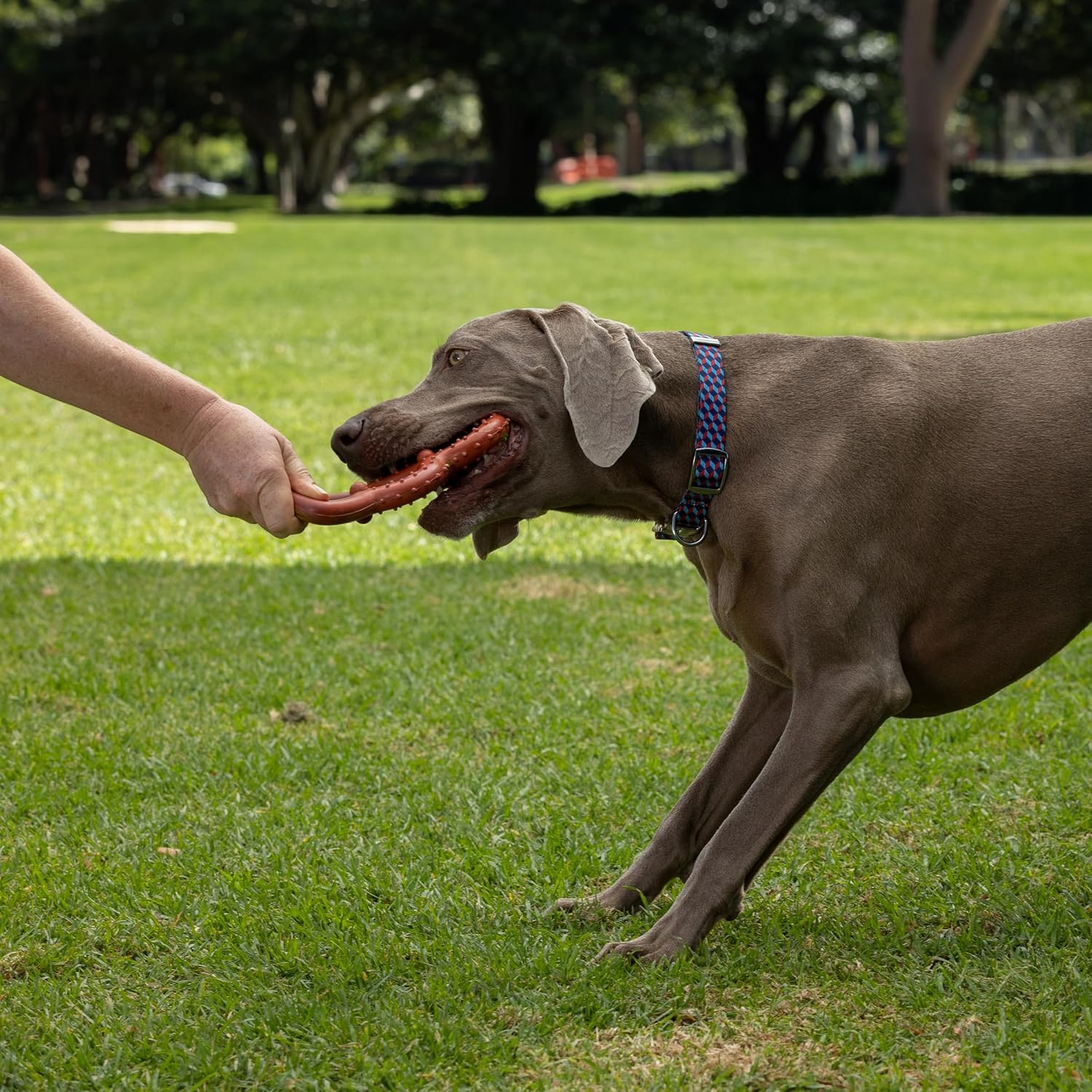 TOTAL CARE Dog Toy Envirotug 1 Piece image number 4