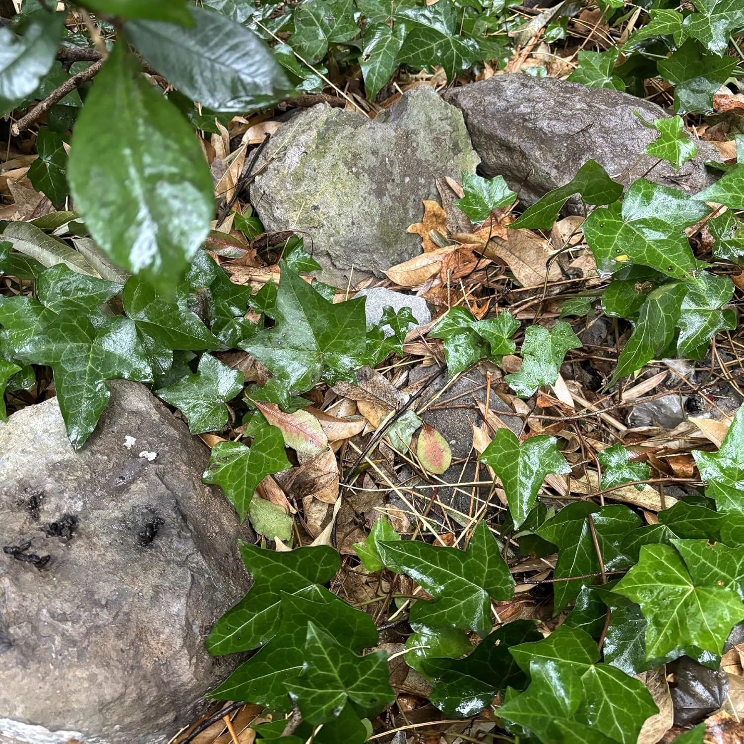 Hide a Key Fake Rock Safe Holder Realistic Stone Hider Keybox for Outdoor Garden image number 3