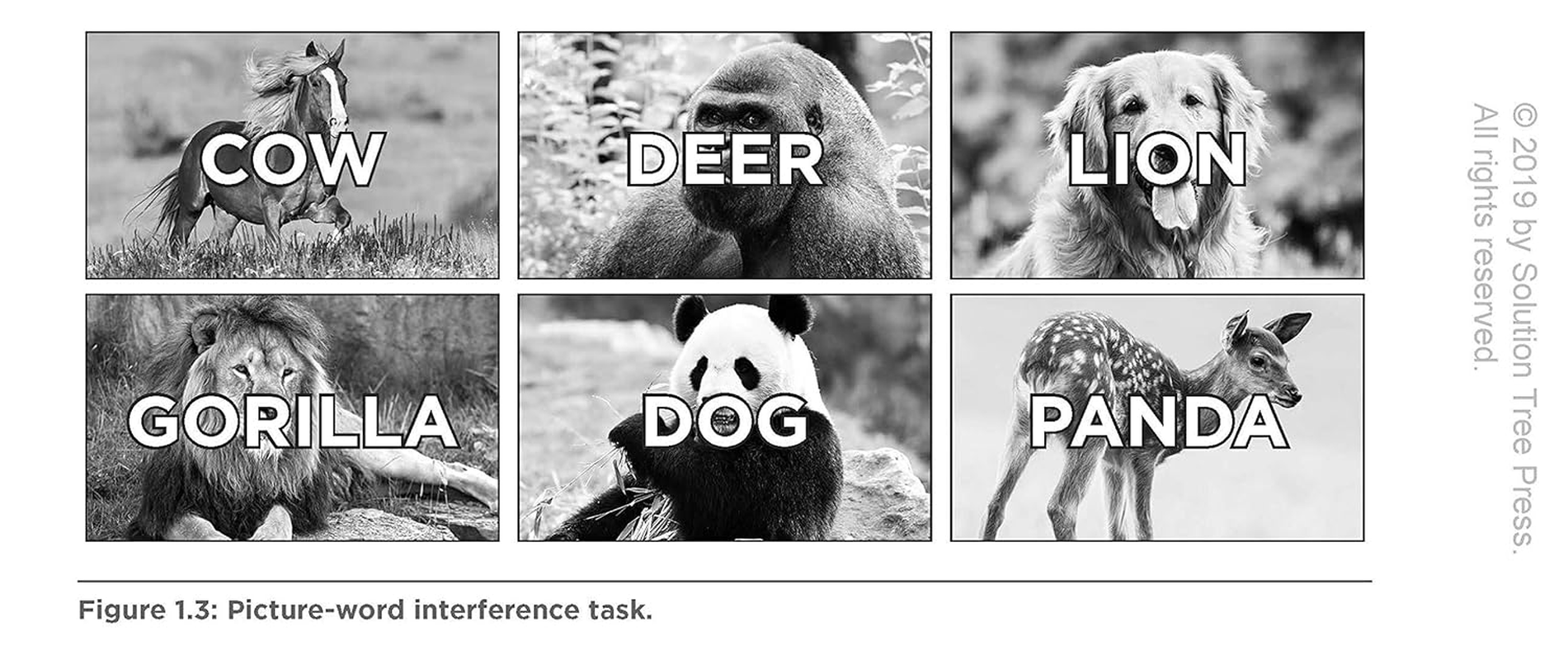 The New Art and Science of Teaching Reading (How to Teach Reading Comprehension Using a Literacy Development Model) image number 2