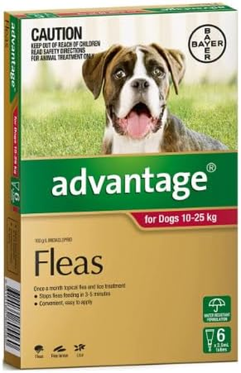 Advantage for Large Dogs 10 to 25Kg Red 6 Pack
