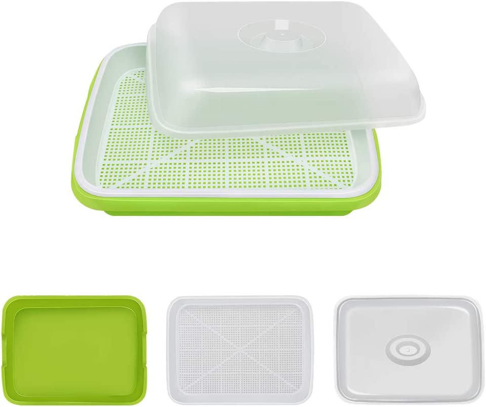 SUNPRO 2-Pack Seed Sprouter Tray BPA Free PP Soil-Free Big Capacity Healthy Wheatgrass Grower Sprouting Container Kit with Lid (2, Green)