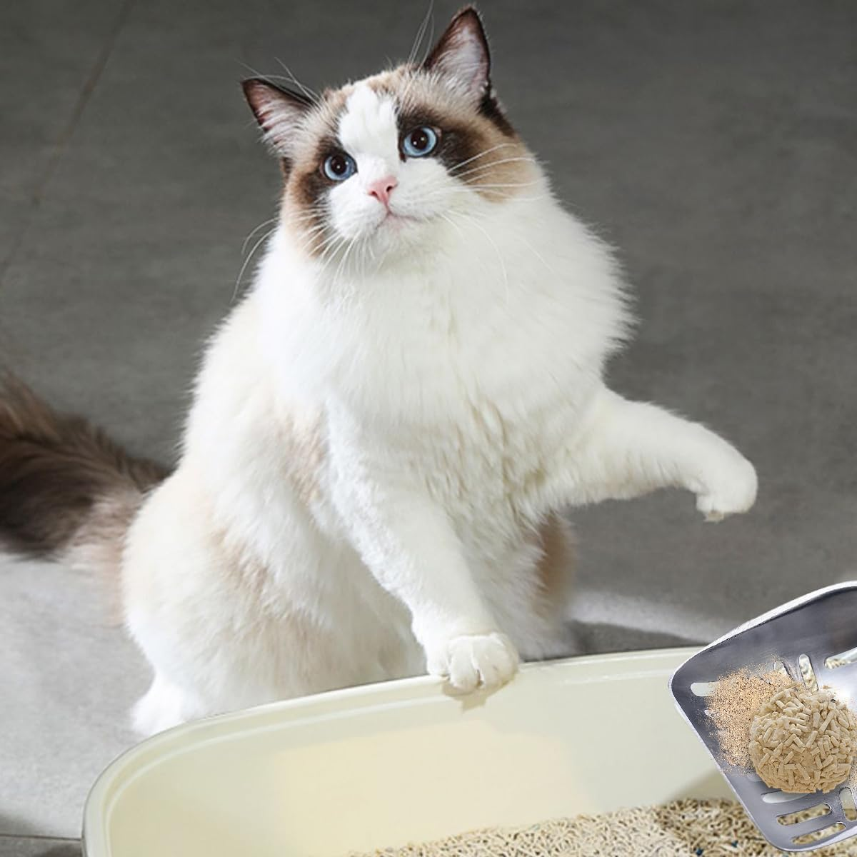 Sarini Cat Litter Scoop Durable Cat Litter Sifter Aluminum Alloy Non-Stick Cat Litter Shovel Large Cat Litter Sifter with Long Rubber Handle image number 4