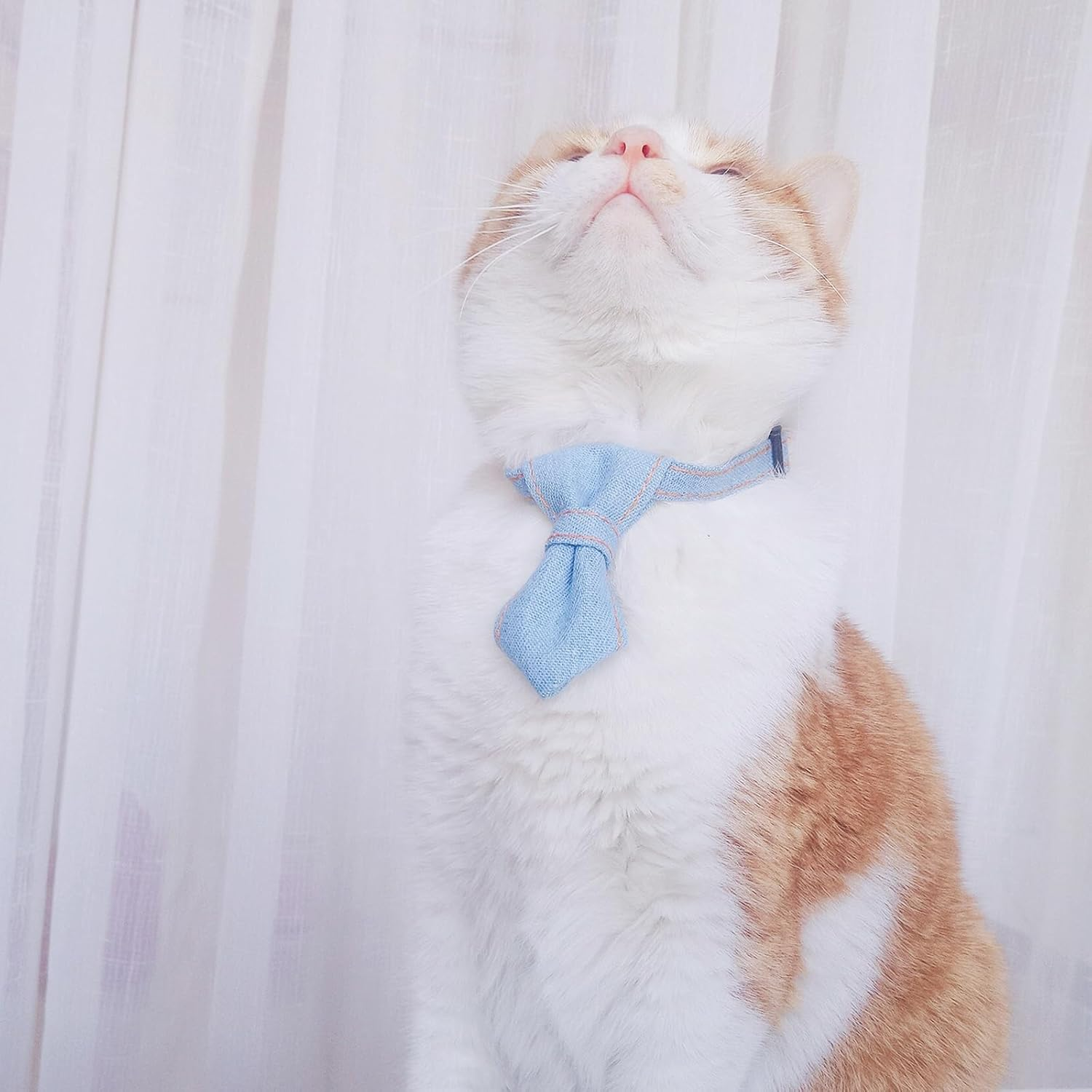 Lopsity Dog Collar Bow Tie Cat Dog Neck Ring Strap Adjustable Buckle Closure for Kitten Puppy and Small Pets (Blue)