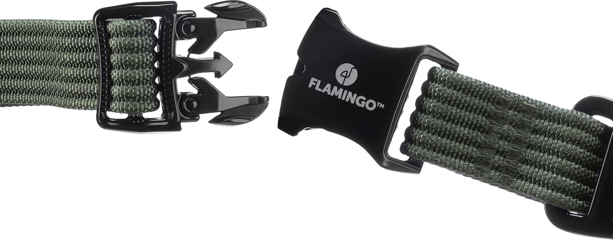 Cami Dog Collar L 45-65 Cm 25 Mm Green image number 3