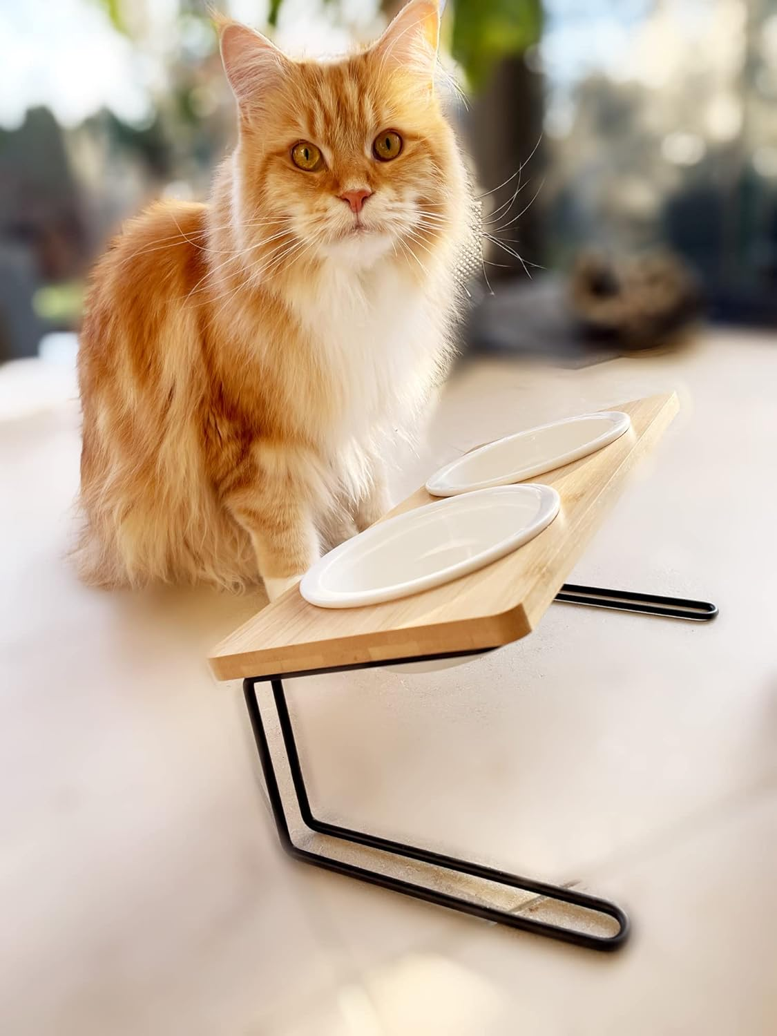 Feeding Bowl for Cats and Small Dogs Made of Bamboo and Metal, Inclined with Ceramic Bowls