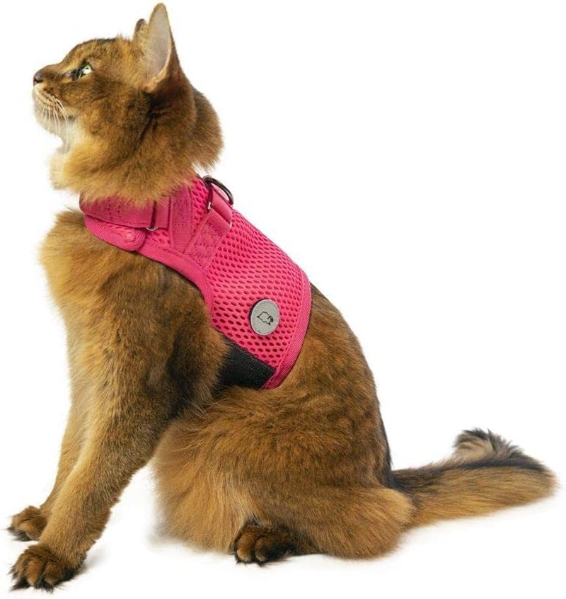 Martingale Cat Harness, Medium, Pink Peony image number 1