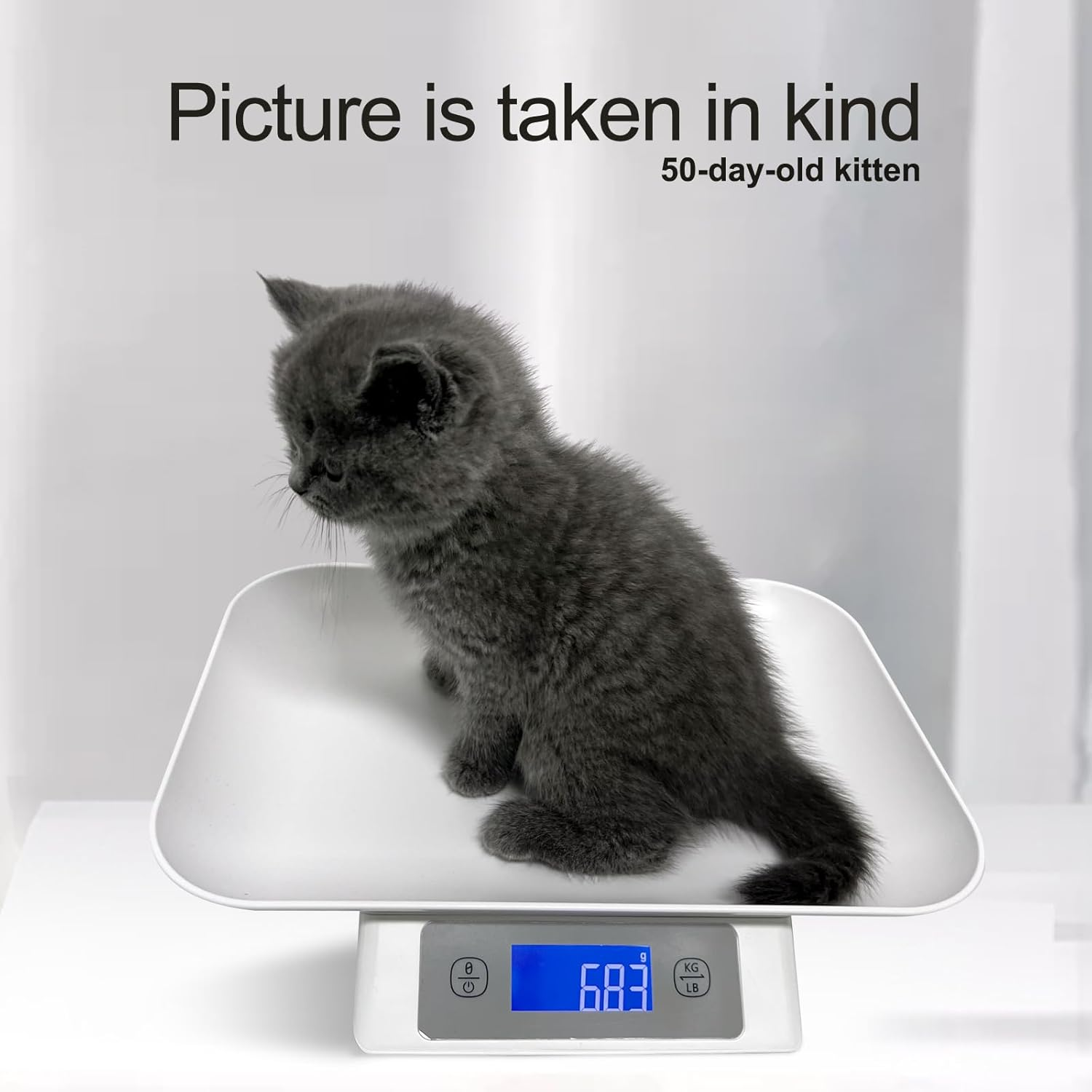Digital Pet Scale for Adult Cats and Small Animals, Measuring Range 0.1Oz-33Lbs, Accuracy 1G/0.035Oz, Unit G/Kg/Lb/Oz/Tl/Ml, Suitable for Kitten Puppy Rabbit Snake Cats and Small Dogs