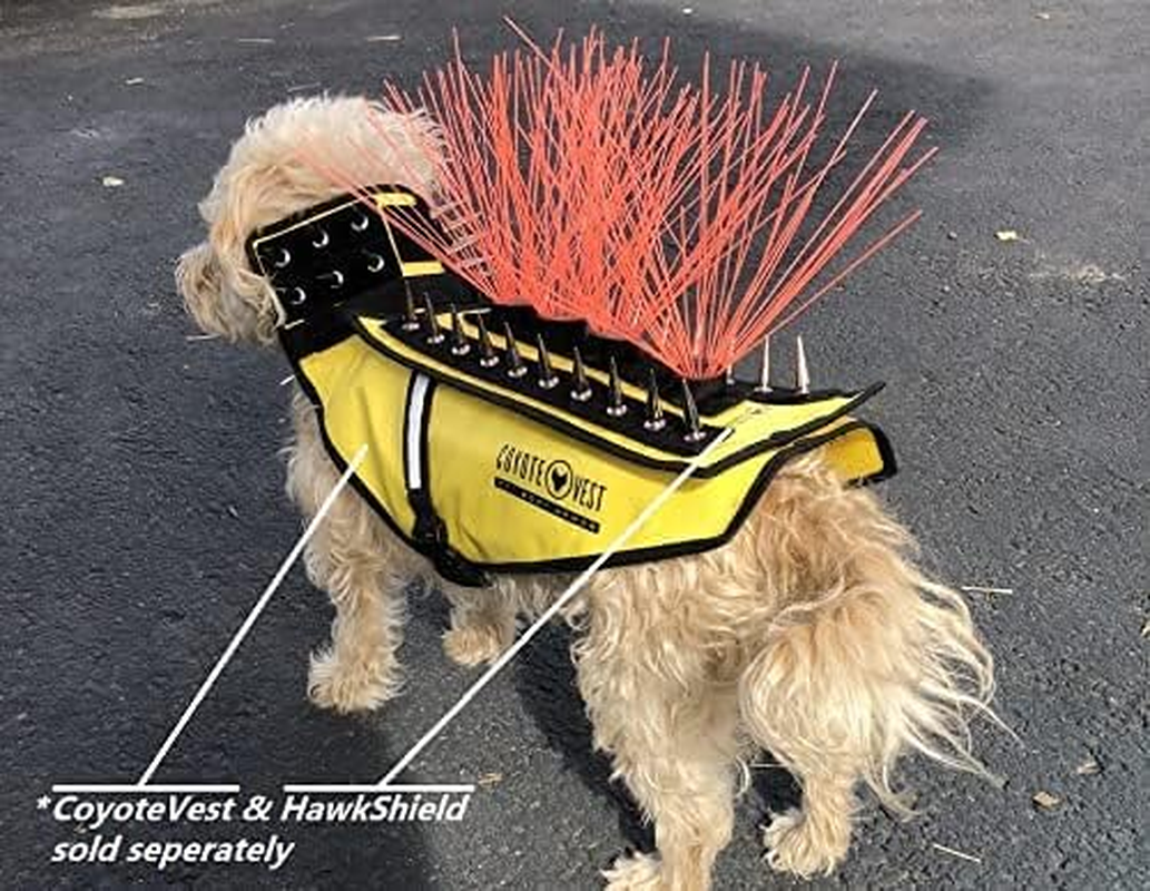 Coyotevest Coyotewhiskers Protection Nylon Bristles for Coyotevest or Spikevest Dog Harness Vest, Dog Accessories That Deter Coyote, Hawk and Raptor Attacks (Set of 4, Rainbow) image number 5