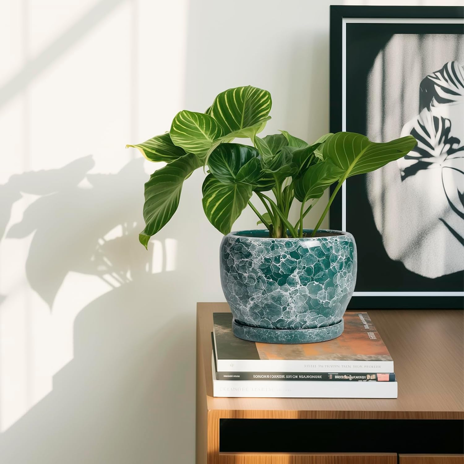 SQOWL Ceramic Plant Pot - 6 Inch Planter with Drainage Hole and Saucer, Succulent Pot round Planter for Indoor Plants Outdoor, Green image number 5