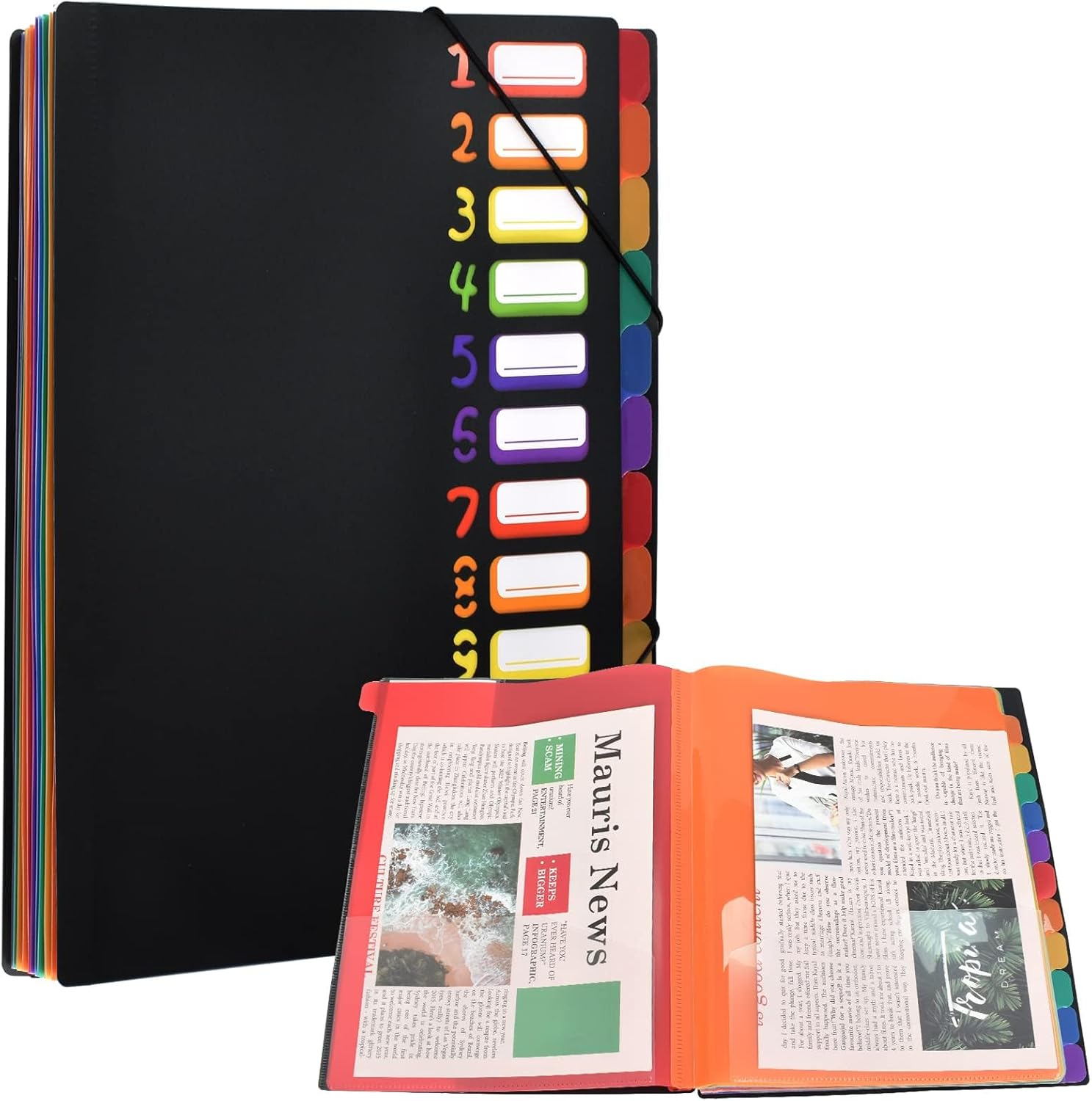 Expanding File Folder Project Binder A4 Organizer Desk Binder 12 Compartments 24 Pockets Plastic Accordion Document Organizer Colorful File Folders for School Office Supplies, Black image number 4