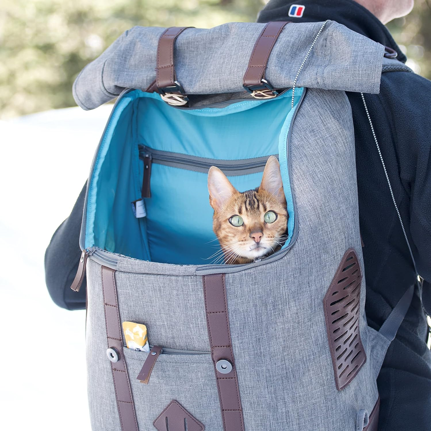 Kurgo Dog Carrier Backpack for Small Pets - Dogs & Cats | TSA Airline Approved | Cat | Hiking or Travel | Waterproof Bottom | G-Train | K9 Ruck Sack | Red | Grey (Heather Charcoal Grey) image number 1