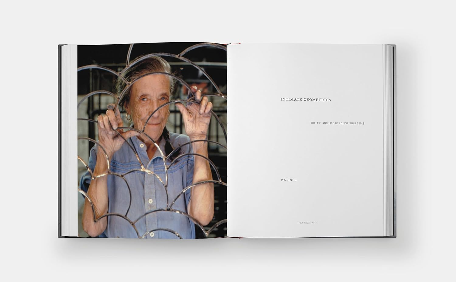 Intimate Geometries: the Art and Life of Louise Bourgeois image number 3