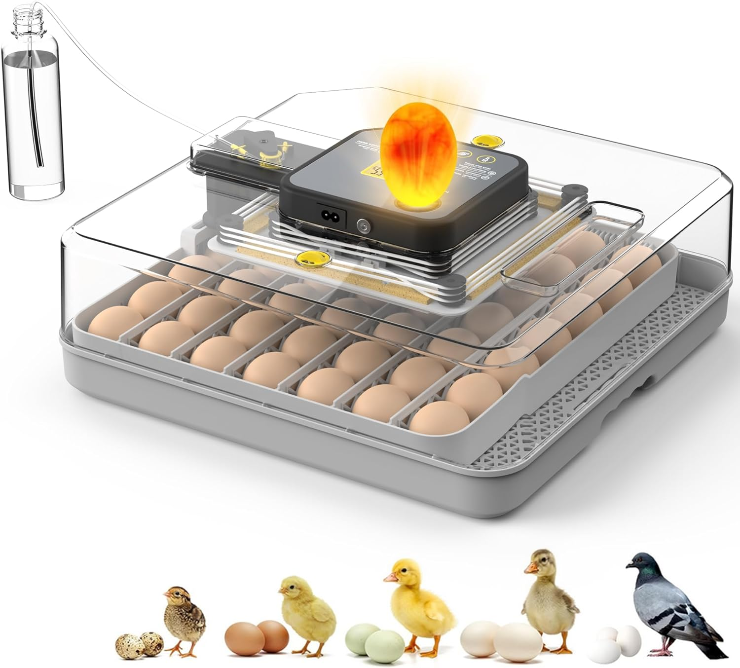 Advwin Incubator for Hatching Eggs, 48 Egg Incubator with Automatic Egg Turning and Humidity Temperature Control, Egg Candler, Chicken Incubator for Ducks/Quail/Goose, 360&deg; View with Clear Window image number 6