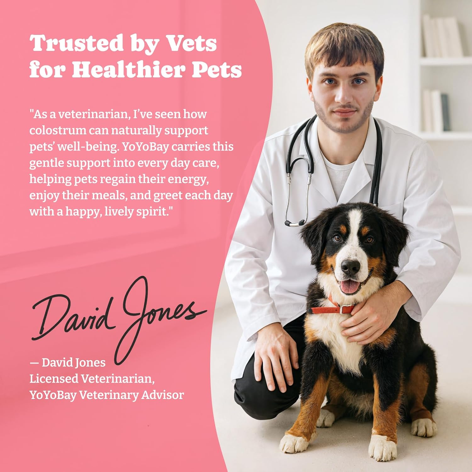 Bovine Colostrum Nutritional Gel for Dog & Cat - High Calorie Supplement for Dogs and Cats, Support Appetite for Cat, Immune Support, Dog Weight Gainer, Senior Dogs Cats Supplement image number 4