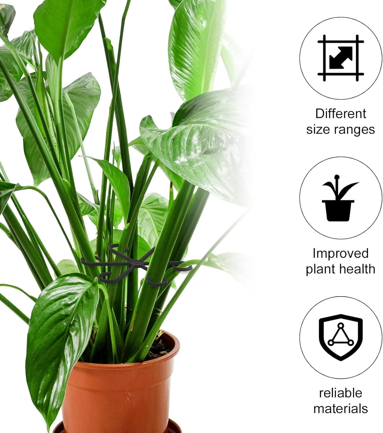 4Pcs Plant Stem Support, Climbing Houseplant Stem Supports Plant Climbers Stem Holders Plants Climbing Rack Plant Growth Accessories for Climbing Plants (Black) image number 5