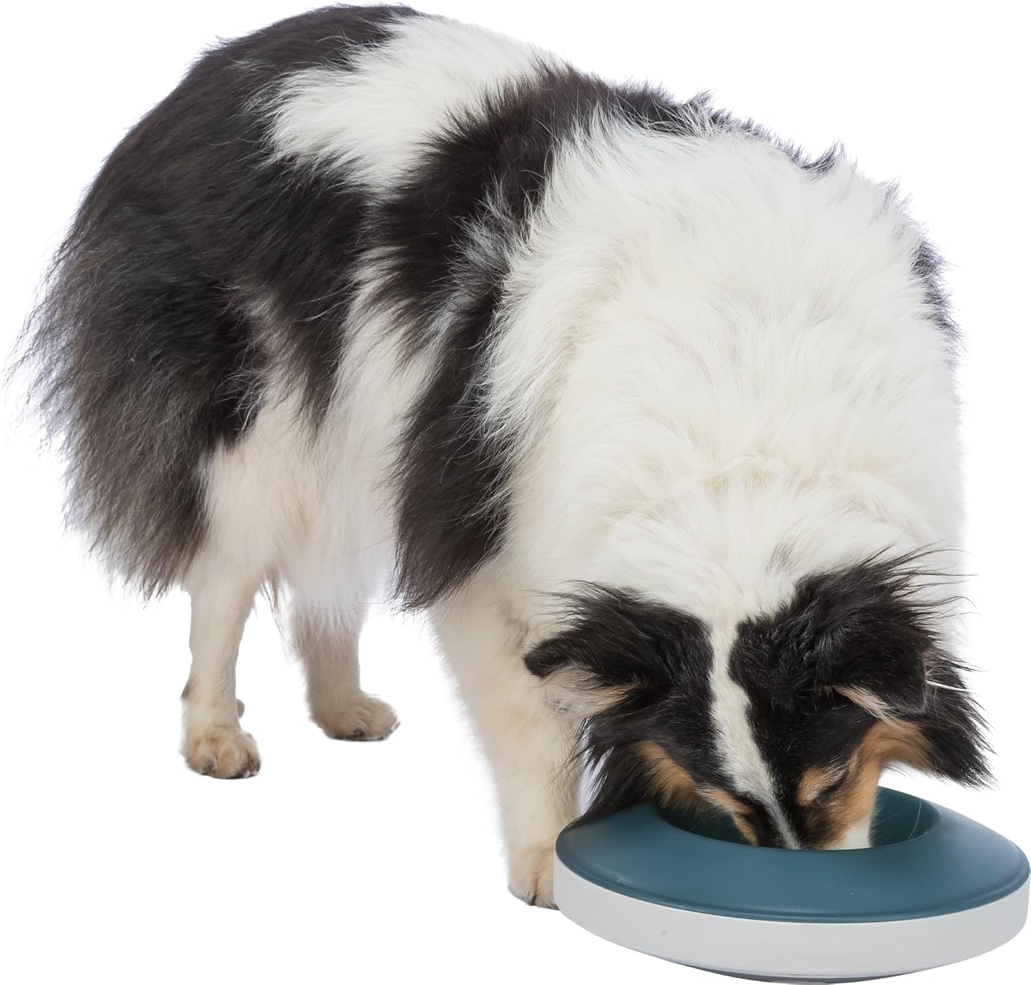 Trixie Slow Feed Rocking Bowl - Anti-Sling Bowl image number 3