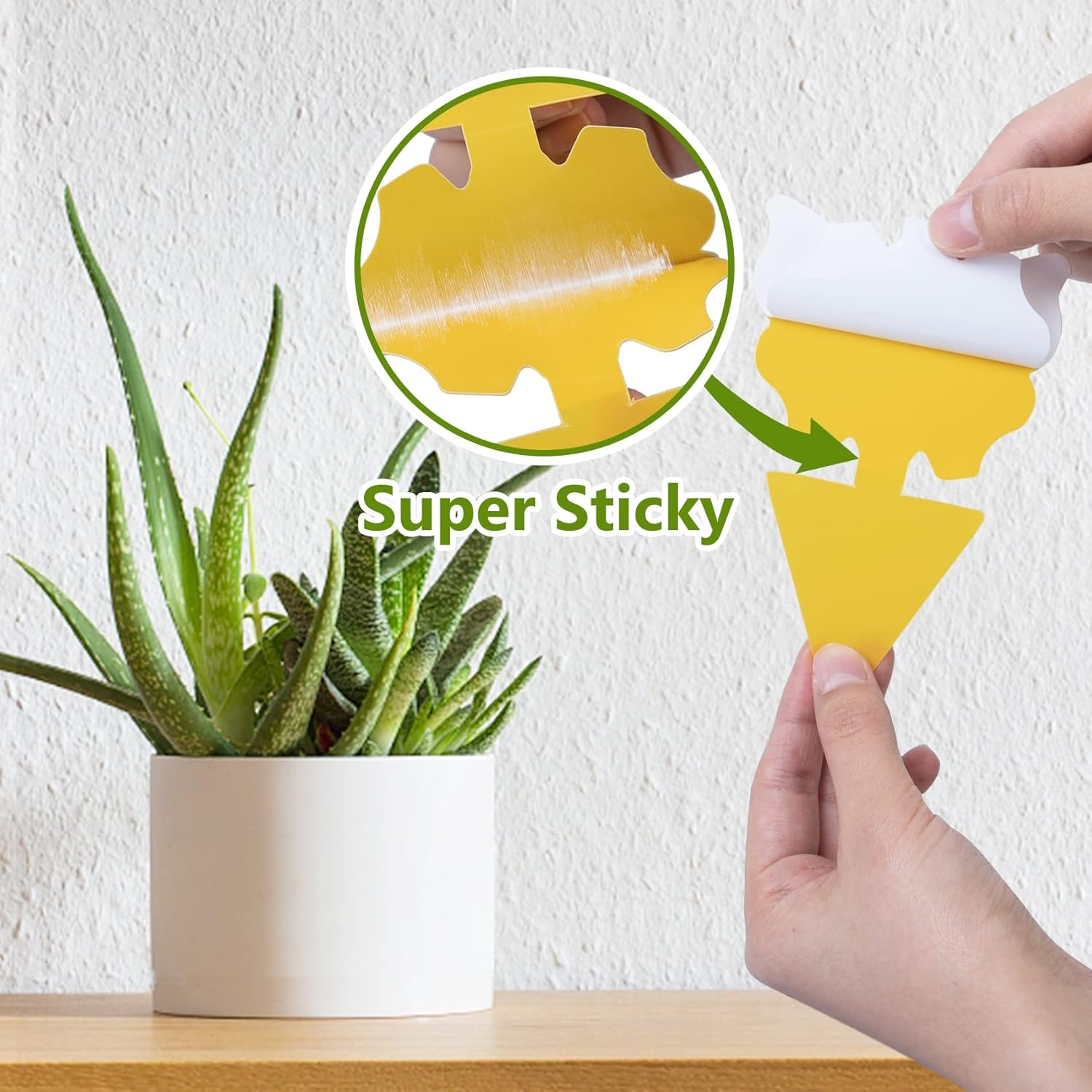 40 Pack Fungus Gnat Traps for House Indoor, Fungus Traps Fruit Fly Traps for Indoors Gnats Sticky Traps for Plants Yellow Sticky Traps for Gnats image number 7
