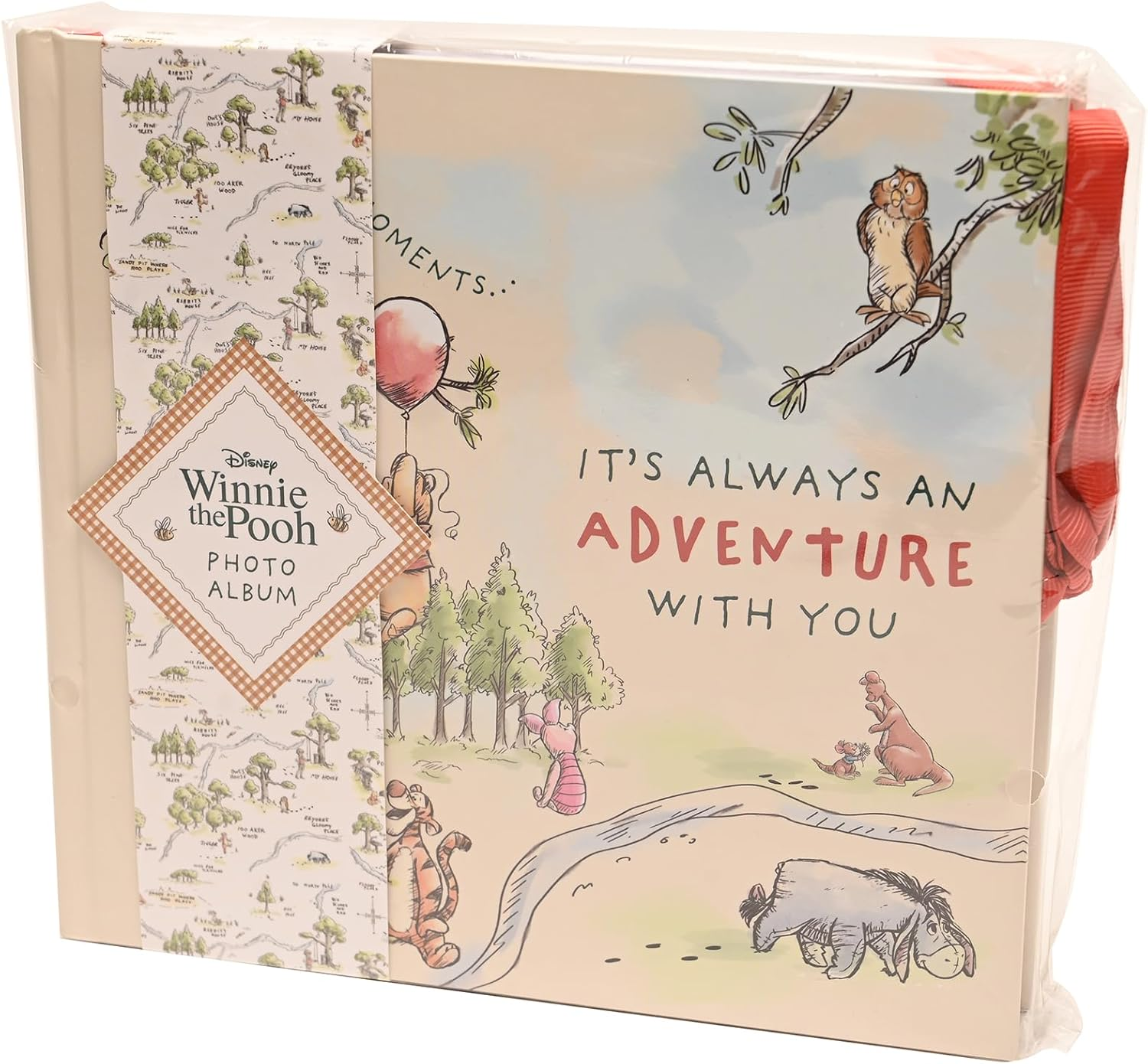 Disney Winnie the Pooh Photo Album