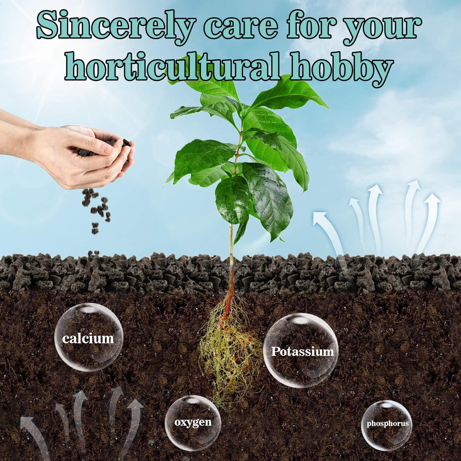 Sukh Black Lava Rock - Horticultural Volcanic Lava Stone for Cacti Succulents Terrarium Vase Fillers Fairy Gardening Plants Groundcover Flowerbeds Volcanic Stone No Dyes. image number 3