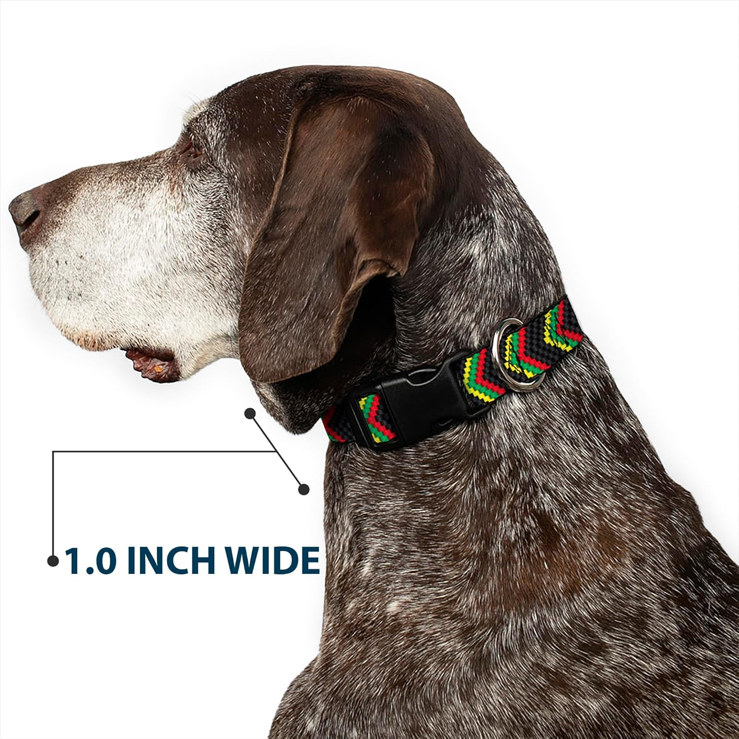 Buckle-Down Plastic Clip Dog Collar, Chevron Weave Black Rasta, 15 to 26 Inches Length X 1.0 Inch Wide image number 1