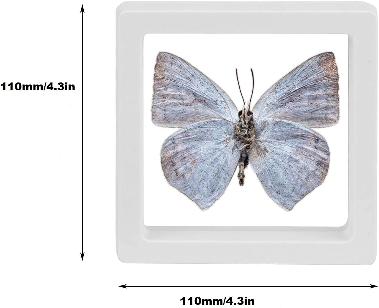 Floating Display Case Sdoot 3D Floating Frame Display Holder Stands, 20 Pack 4.3 X 4.3 X 0.8&rdquo; White Coin Display Stands, 3D Floating Jewelry Frame for Challenge Coins, AA Medallions image number 4