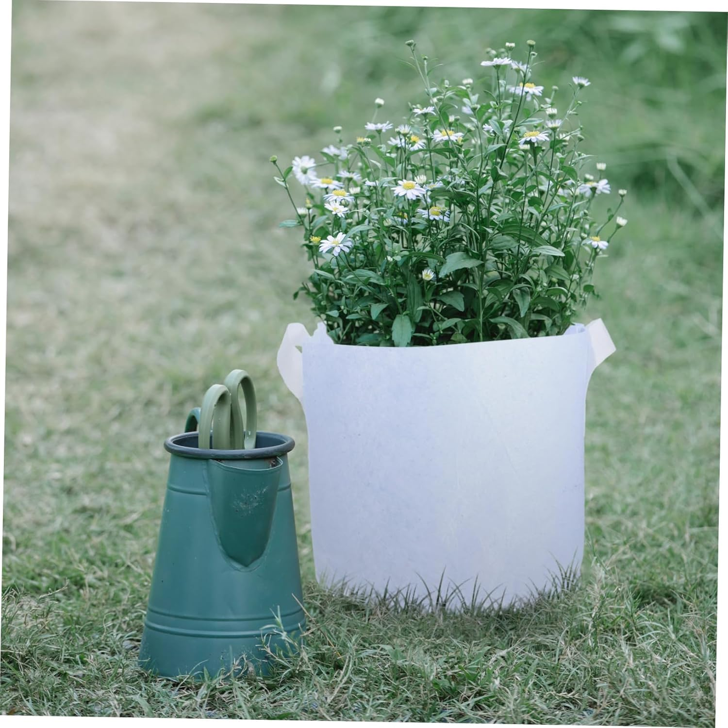 CANIGHT 10Pcs Plant Grow Bags with Handles Potato Grow Bags Fabric Pots Root Container Reusable for Gardening image number 6