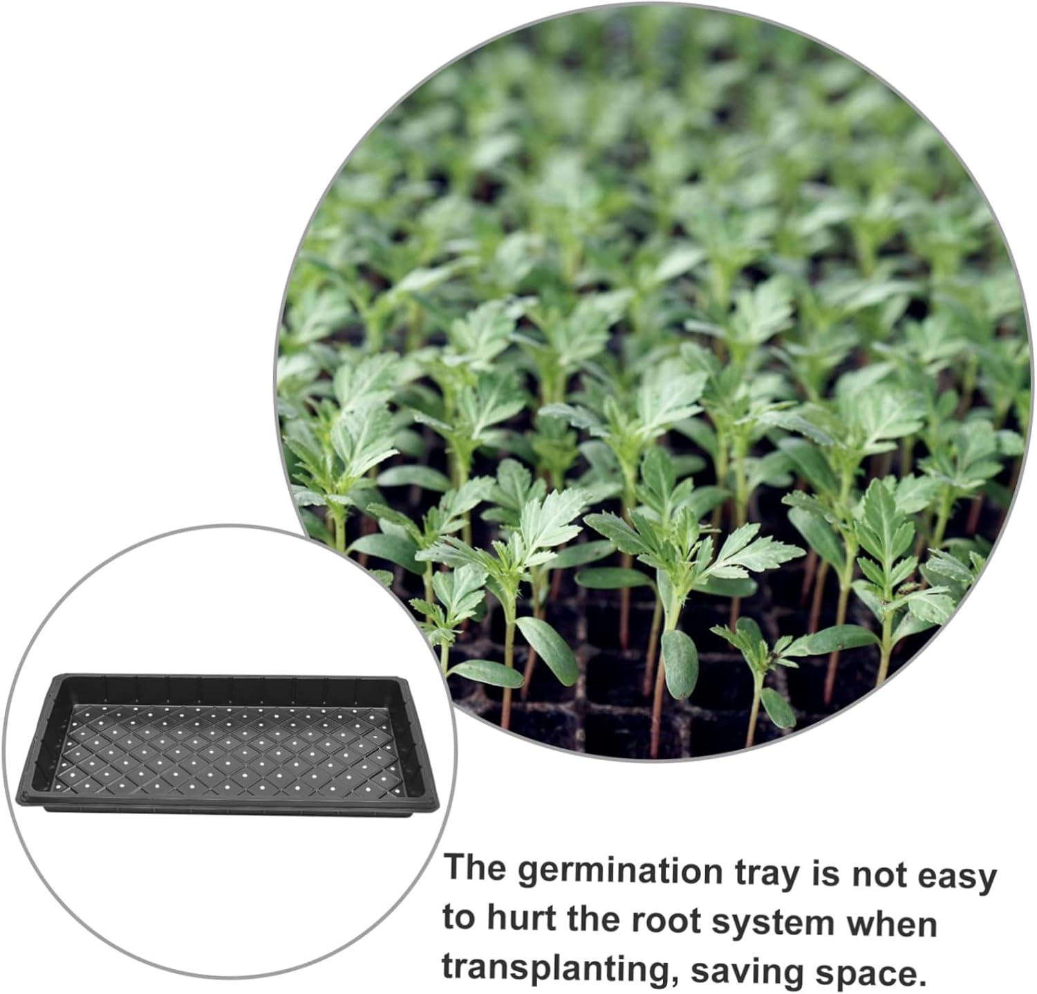 CIYODO Germination Tray Plant Growing Tray for Indoor Gardening Starting Accessory with Drainage Holes Reusable Nursery Supply for Flower Seedlings and Vegetable Propagation 5Pcs image number 1