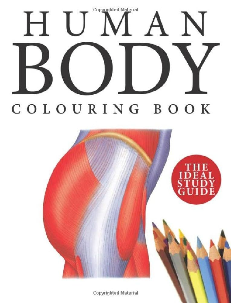 Human Body Colouring Book: Human Anatomy in 215 Illustrations image number 3
