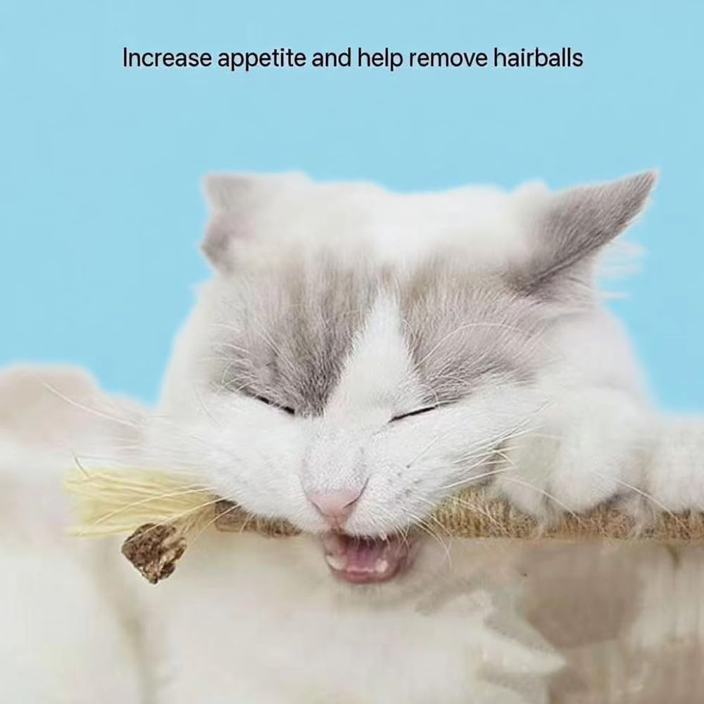 Silver Vine Stick Cat Toys, 6-Piece Set &ndash; Cat Molar Sticks for Indoor Self-Amusement and Boredom Relief, Bite-Resistant Mint Toys for Teeth Cleaning and Interactive Play