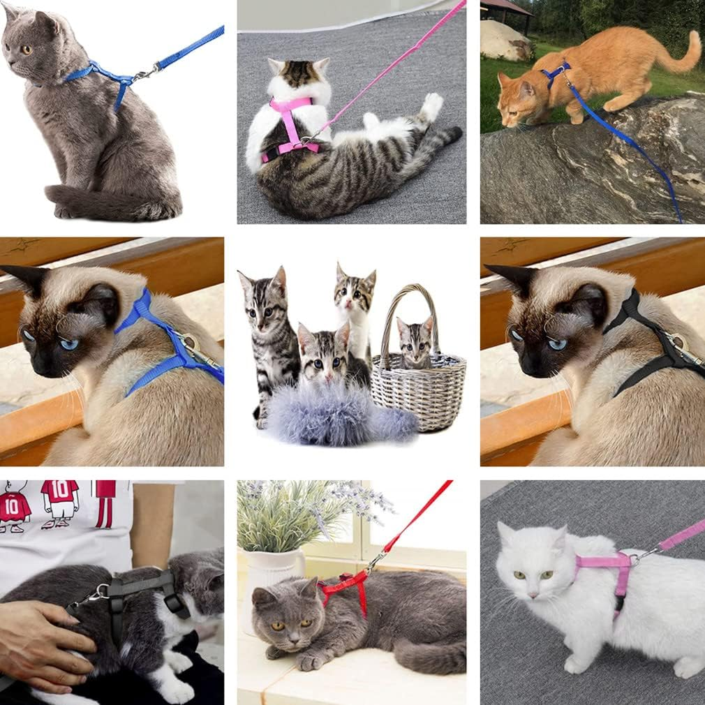 2 Pack Cat Harness and Leash, Adjustable Comfortable Nylon Pet Strap Collar with Leash, Escape Proof Safety Rope Leads Chest Strap for Kitten Puppy Rabbits Walking Training (Black & Red) image number 6