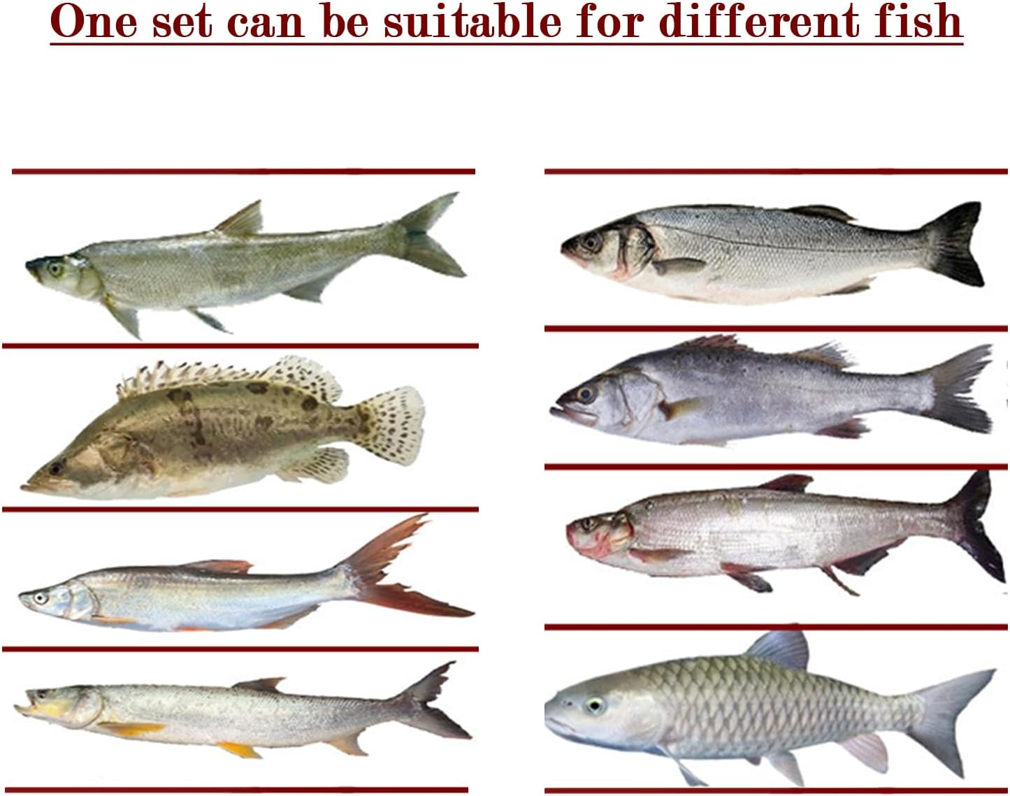 Fishing Lures,107Pcs Fishing Equipment,Fishing Stuff Includes Trout Lures Bass Lures Soft Plastic Worms Crankbait Jigs Fishing Hooks,Tackle Box Starter Kit image number 3