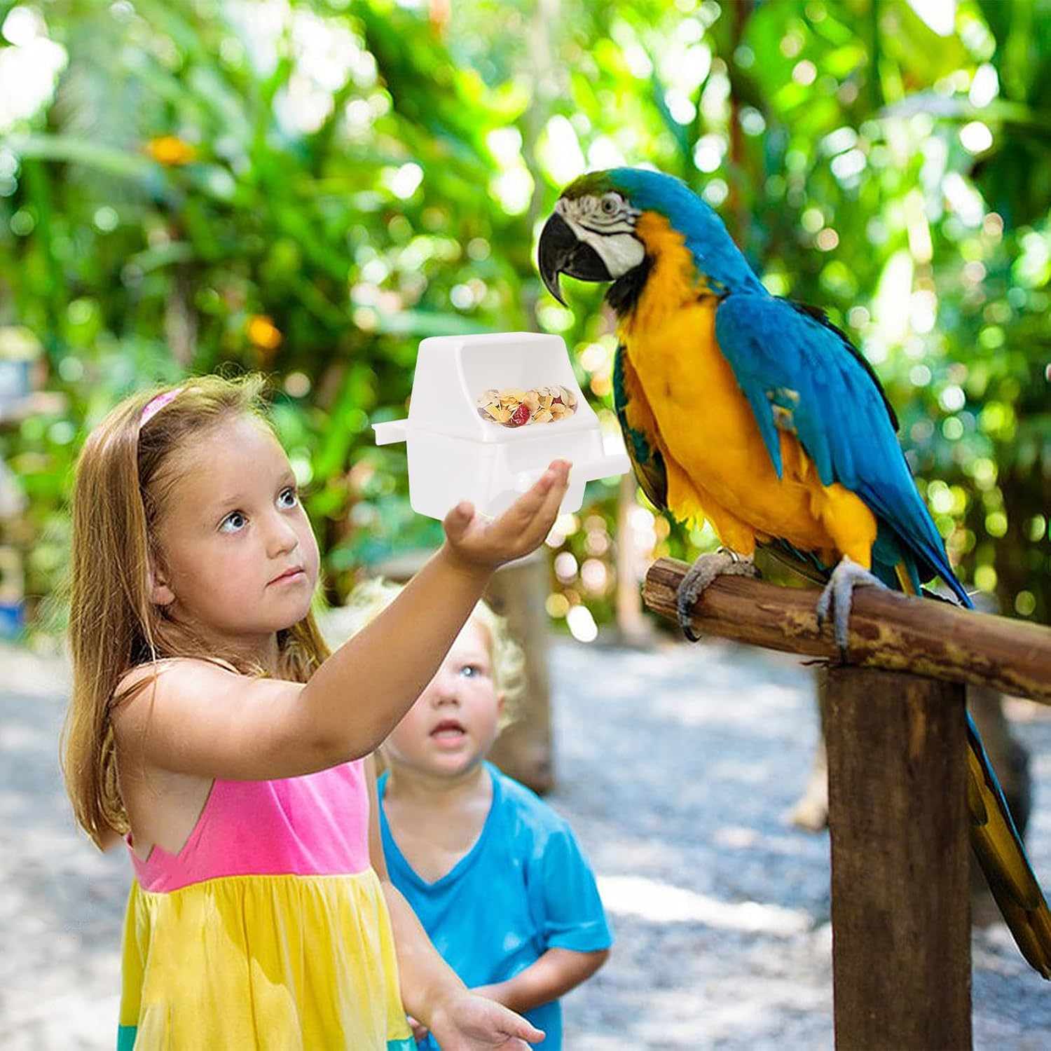 2 Pcs Small Bird Slot Feeder Bird Feeders for Cage No Mess Hanging Food Feeder Cup for Cage Plastic Food and Water Dispenser Bowl Cage Cups Slot Replacement Feeder Bowls image number 3