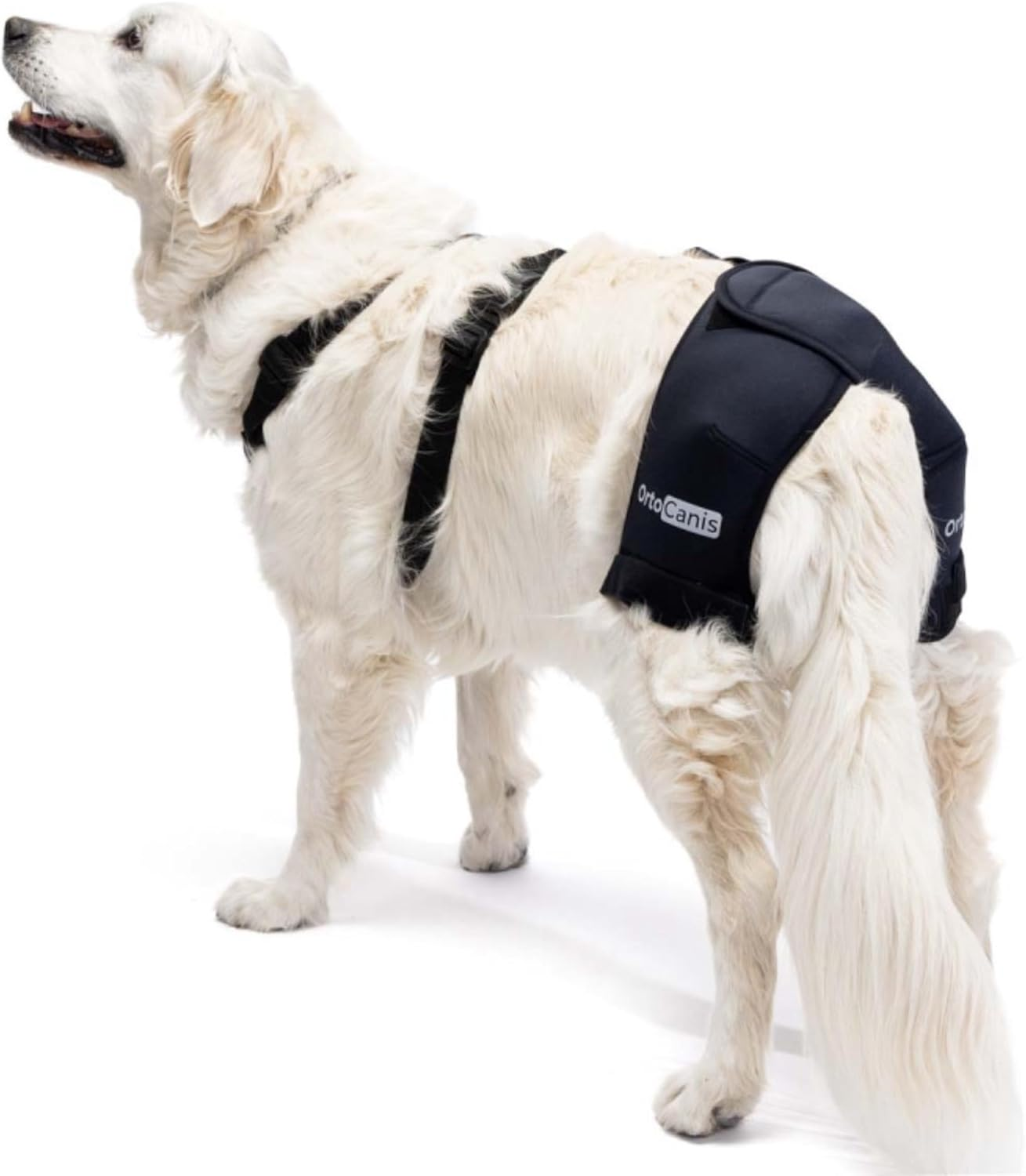 Ortocanis Hip Support for Dogs - Size S image number 5