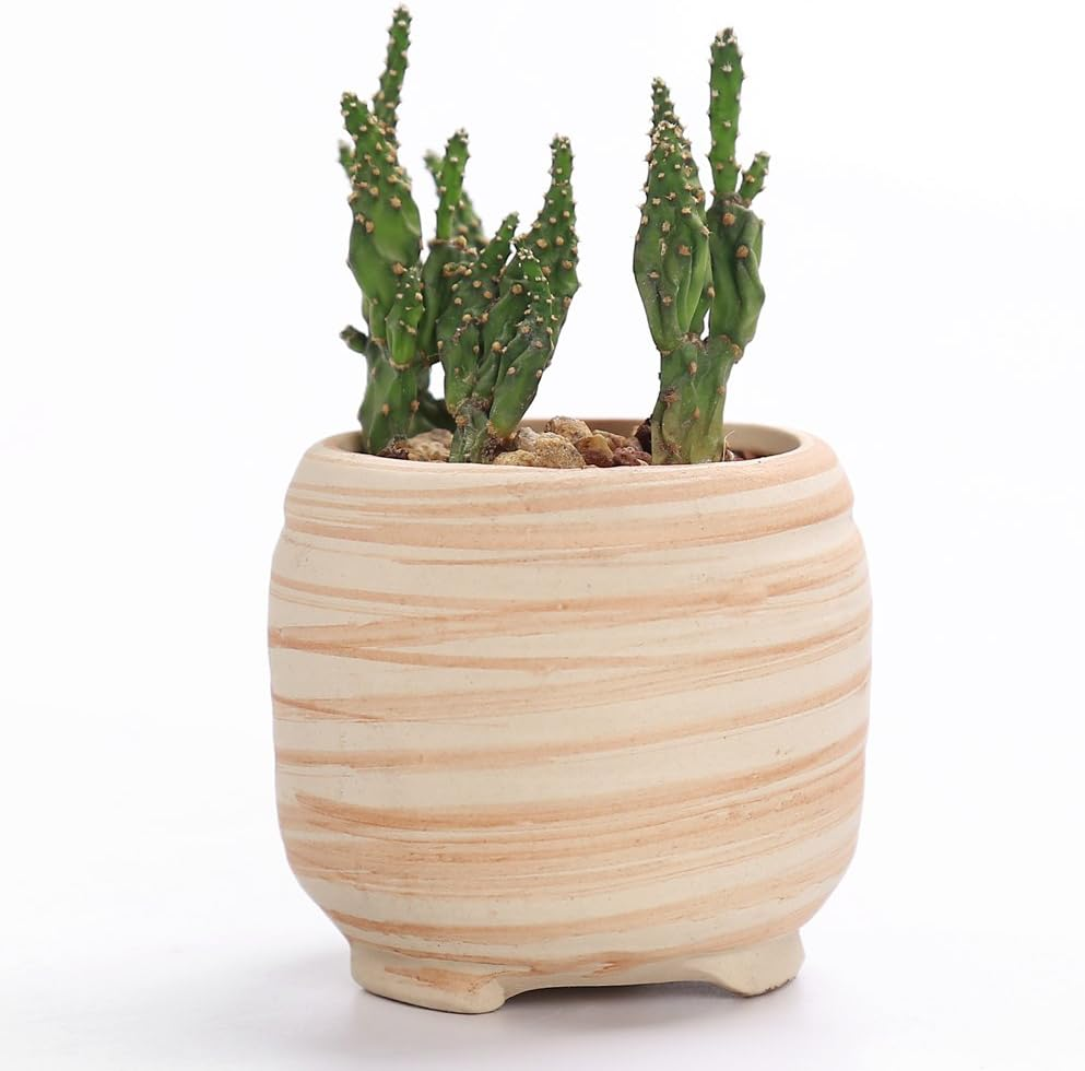 6 Pack 7.5CM Wooden Pattern Plant Pots Ceramic Planters Succulent Plant Pot/Cactus Plant Pot Flower Pot Container Planter Perfect Gife Idea image number 6